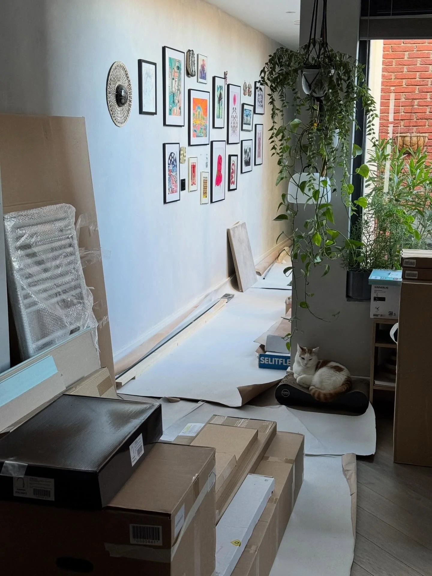 Not the end of year we hoped for with 4 weeks of unexpected house construction (and a few more weeks to go), but still grateful for the year! I did 4 markets, and gave multiple ceramic classes and workshops, which I never knew would give me so much j