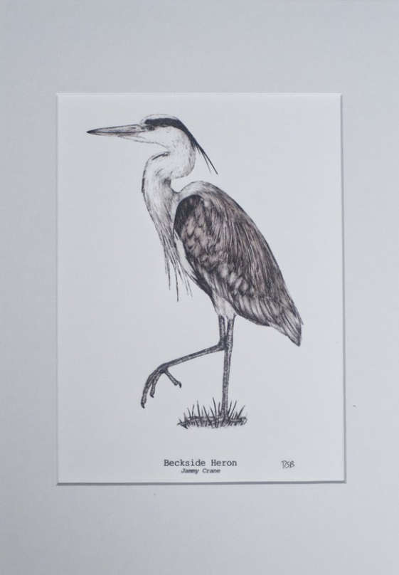 Beckside Heron