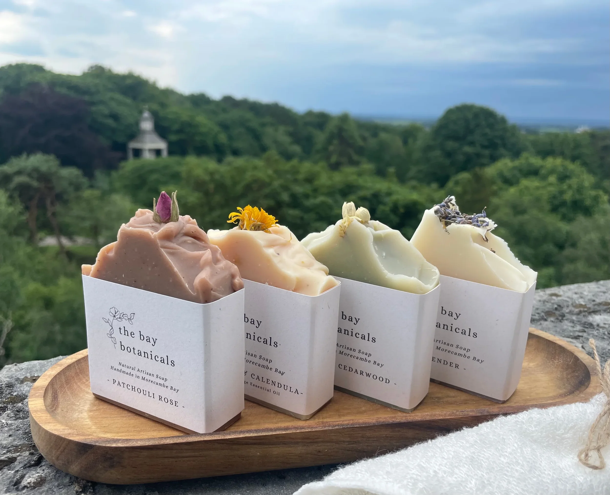 IMG_2778.webp (Copy) (Copy)