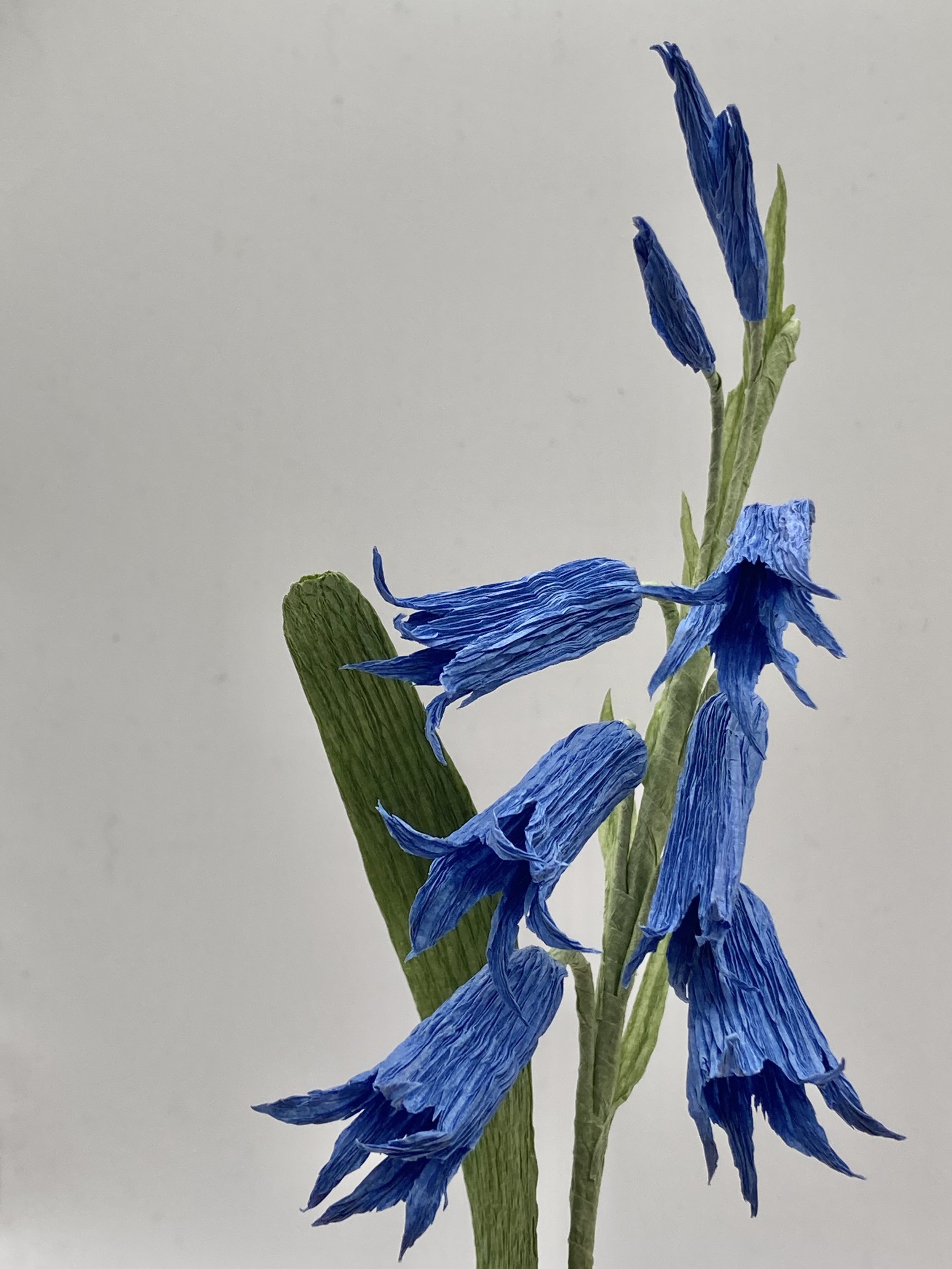 IMG_0319.jpeg