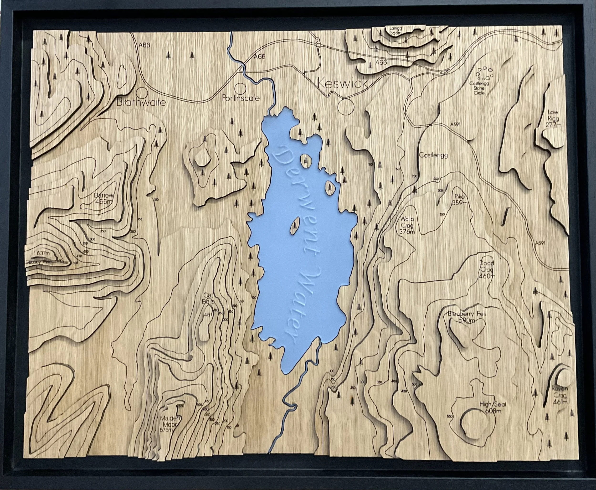 Derwent Water Topography Framed Picture