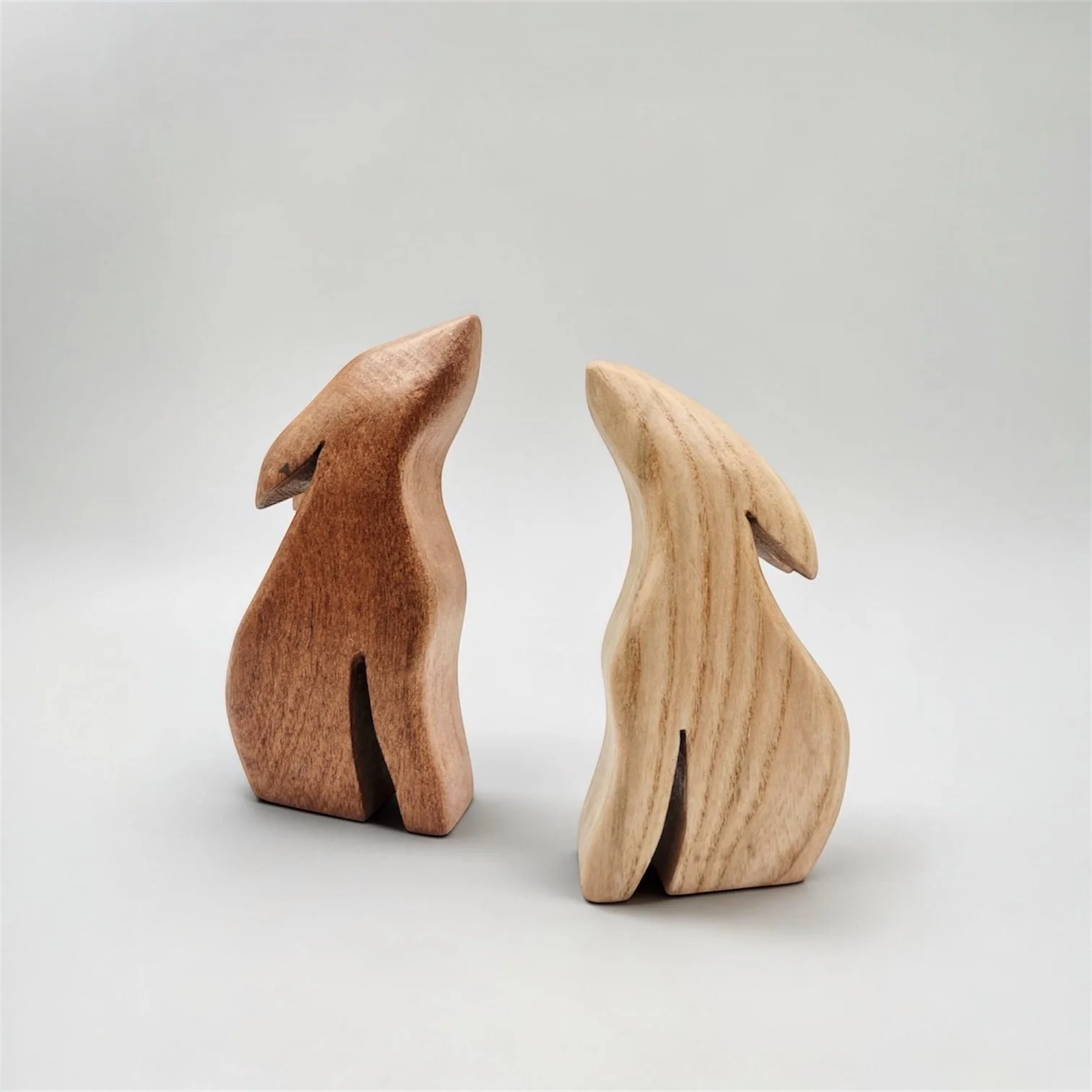 Moongazing  Hare