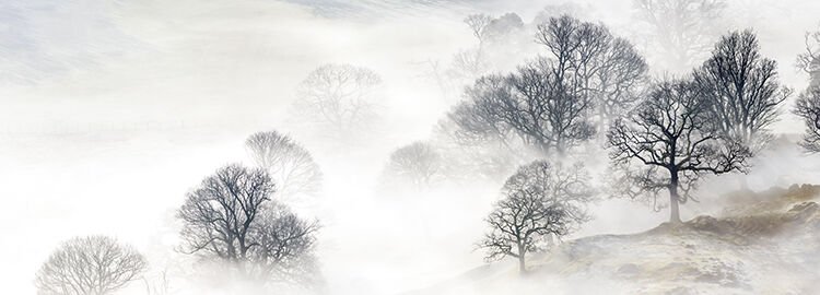 Thirlmere Mist