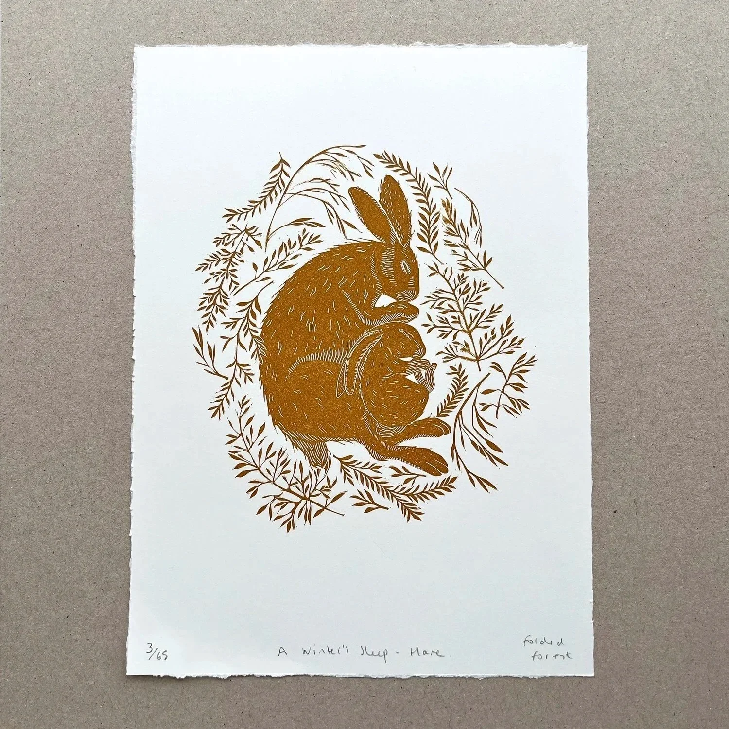 A Winter's Sleep - Hare