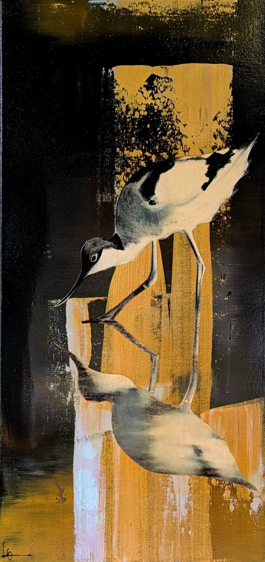 Avocet on Black and Gold