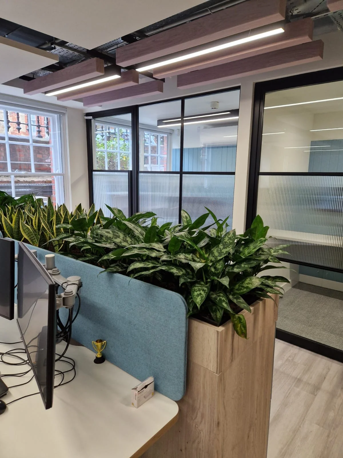 WhatsApp Image 2025-09-17 at 07.14.36.jpeg