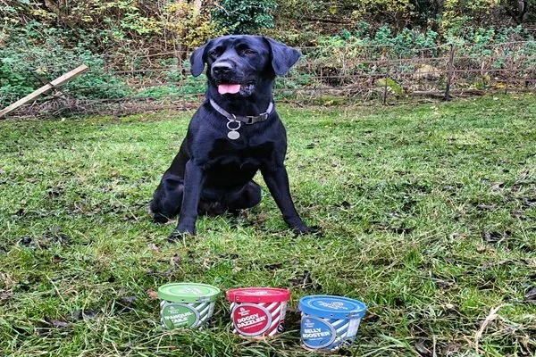What makes a dog treat healthy? Ingredients to look for