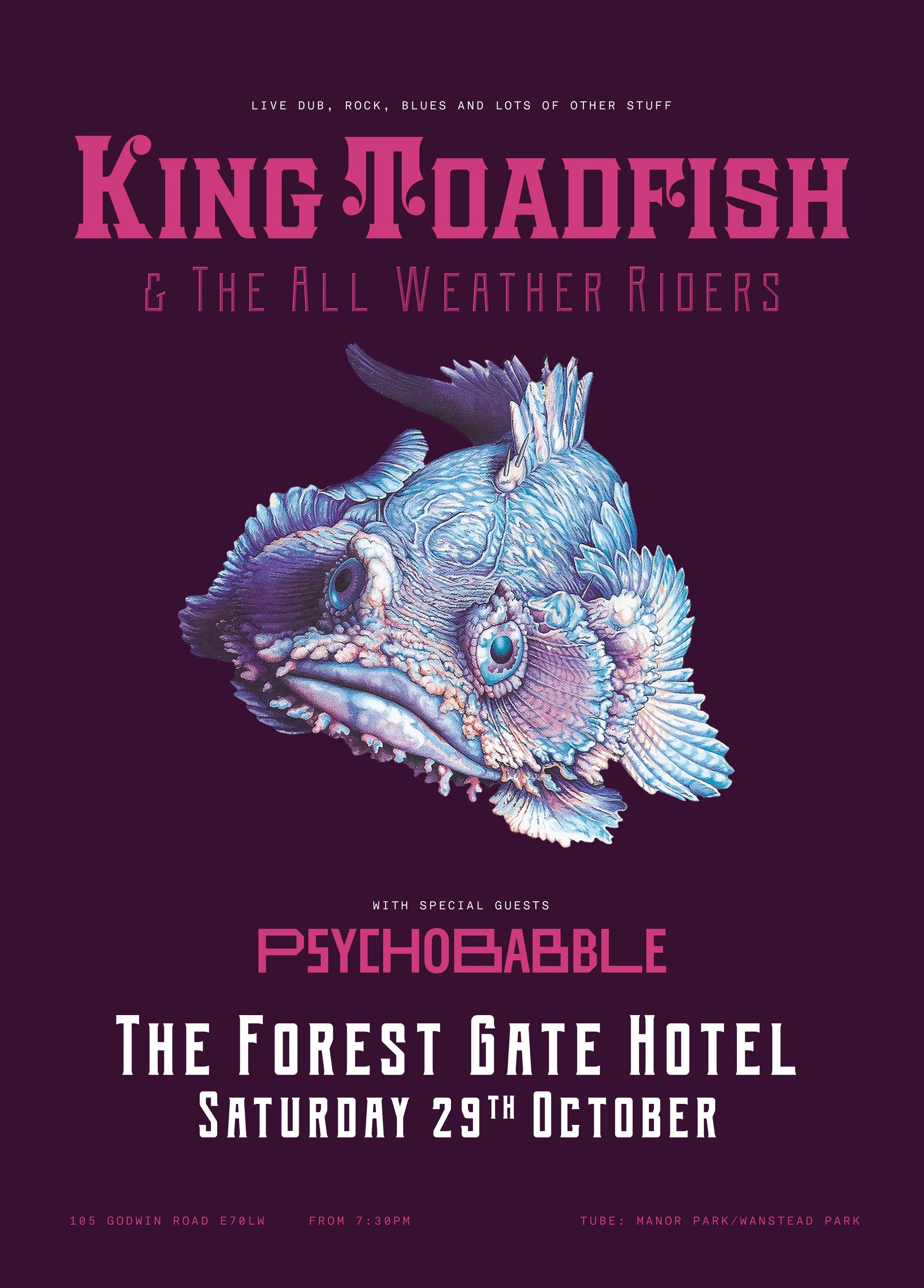 Toadfish FGH 291022.jpg