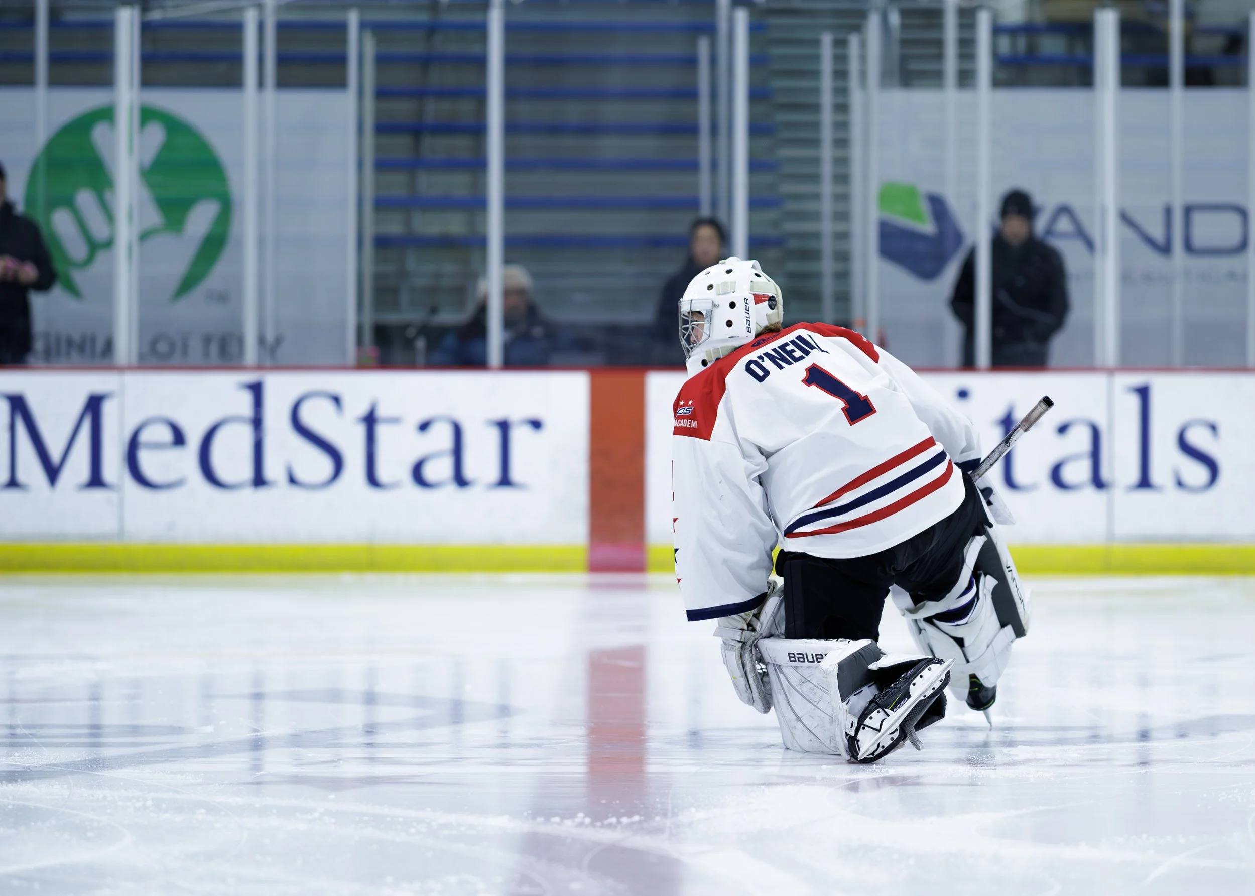 Washington Capitals Hockey Team