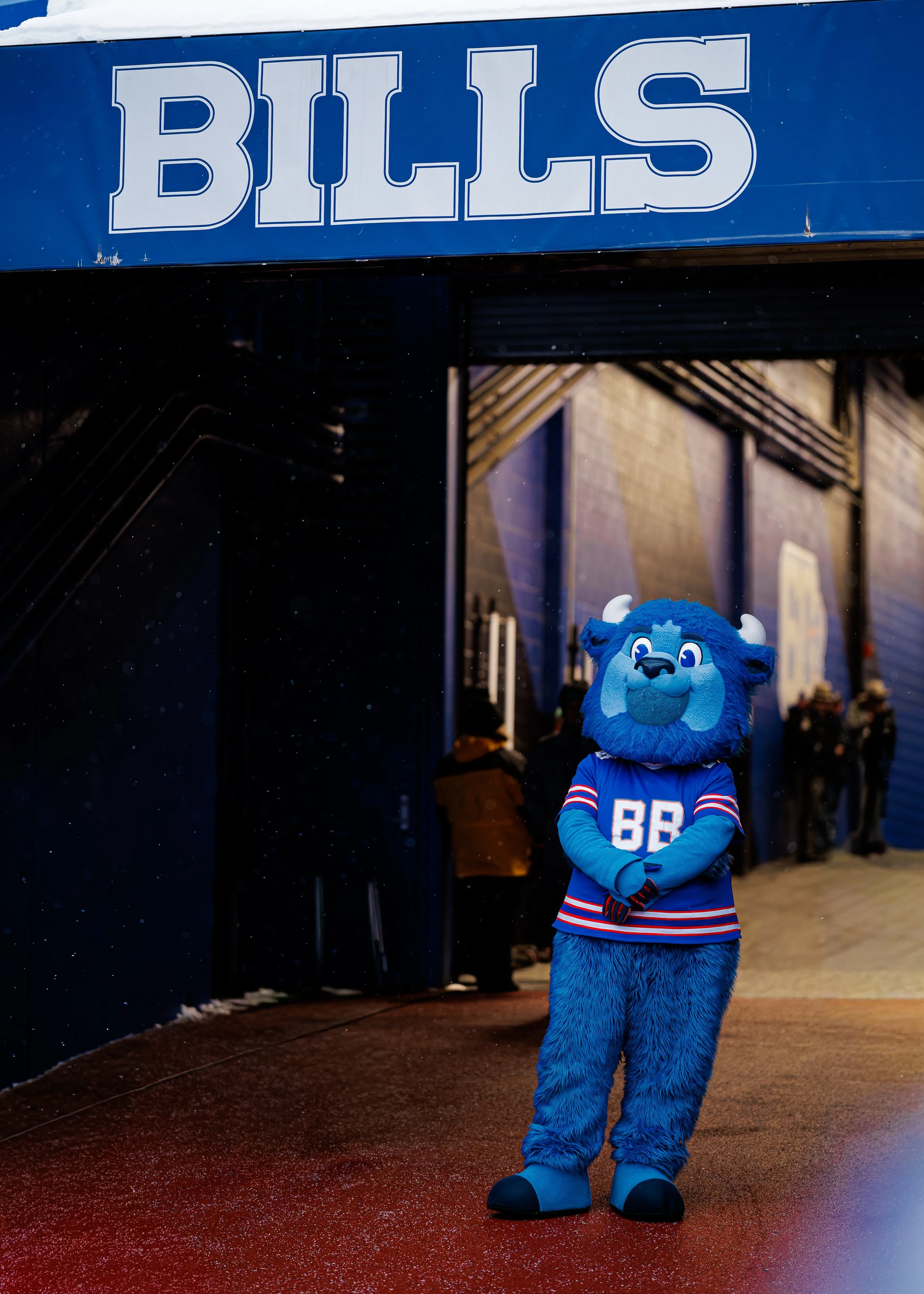 Billy Buffalo, Buffalo Bills Mascot