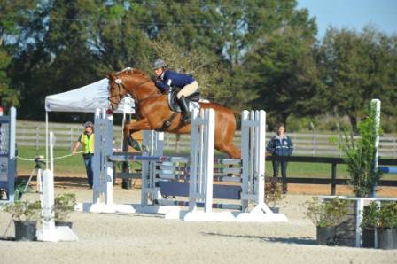 Reddin oxer.jpg