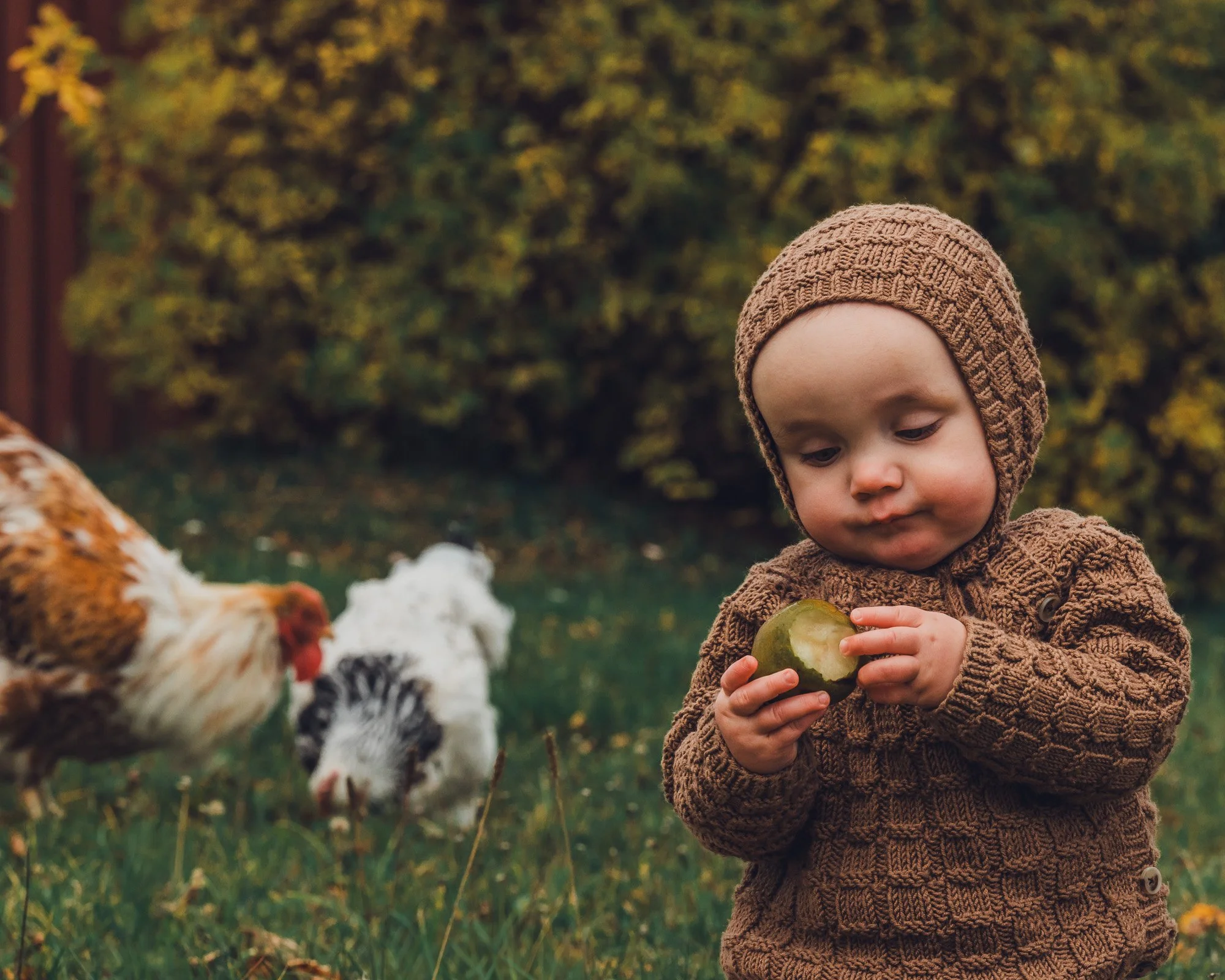 Ettårsfotografering på gård i Østre Toten – en dag hos en familie på Skreia