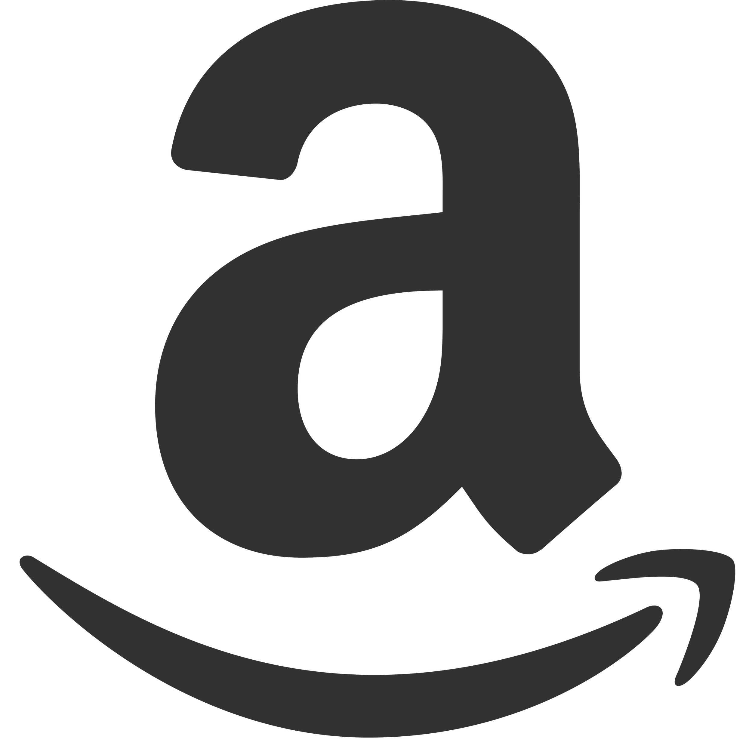 Amazon Icon