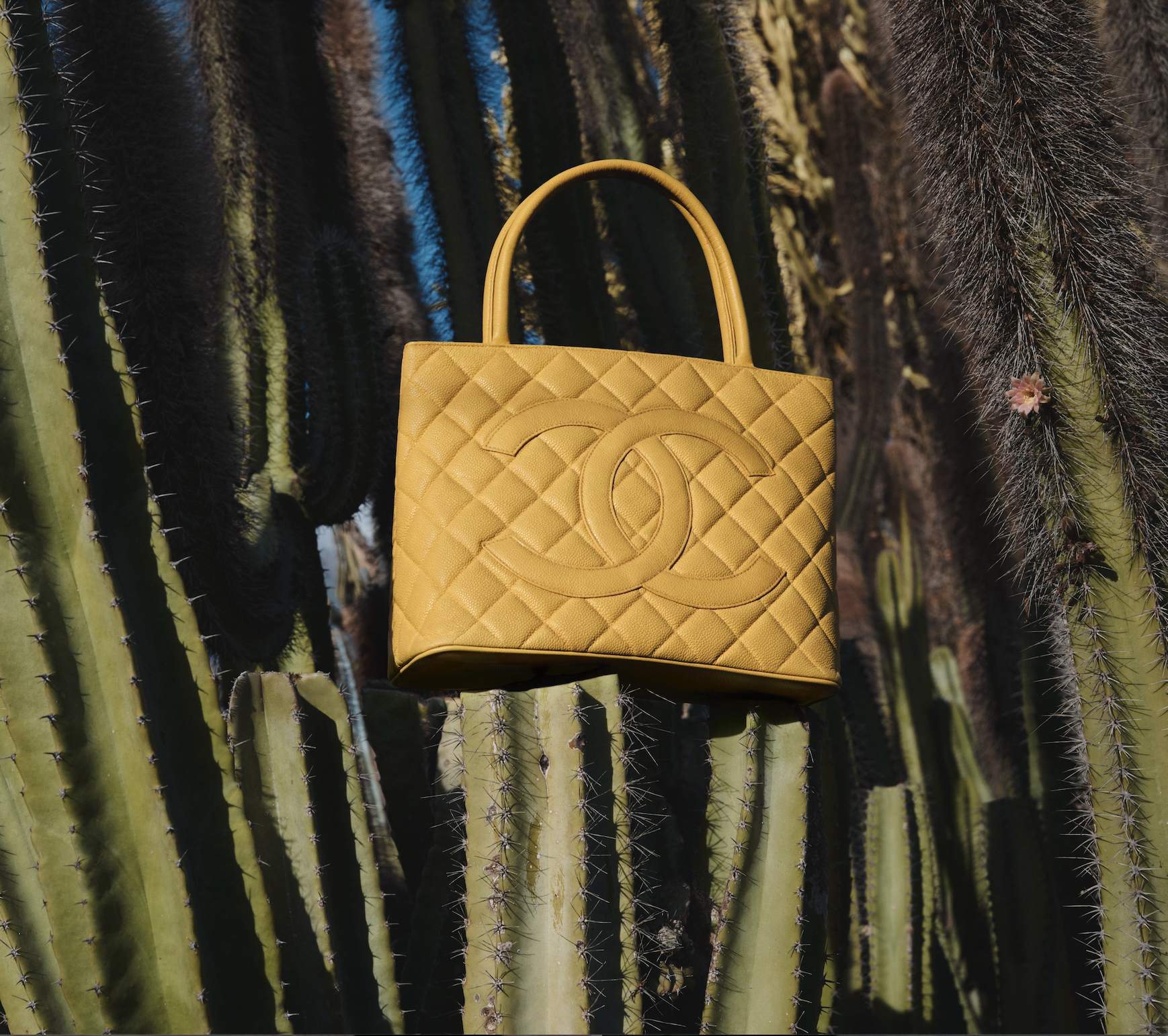 Screenshot 2026-02-11 at 12.21.50.png