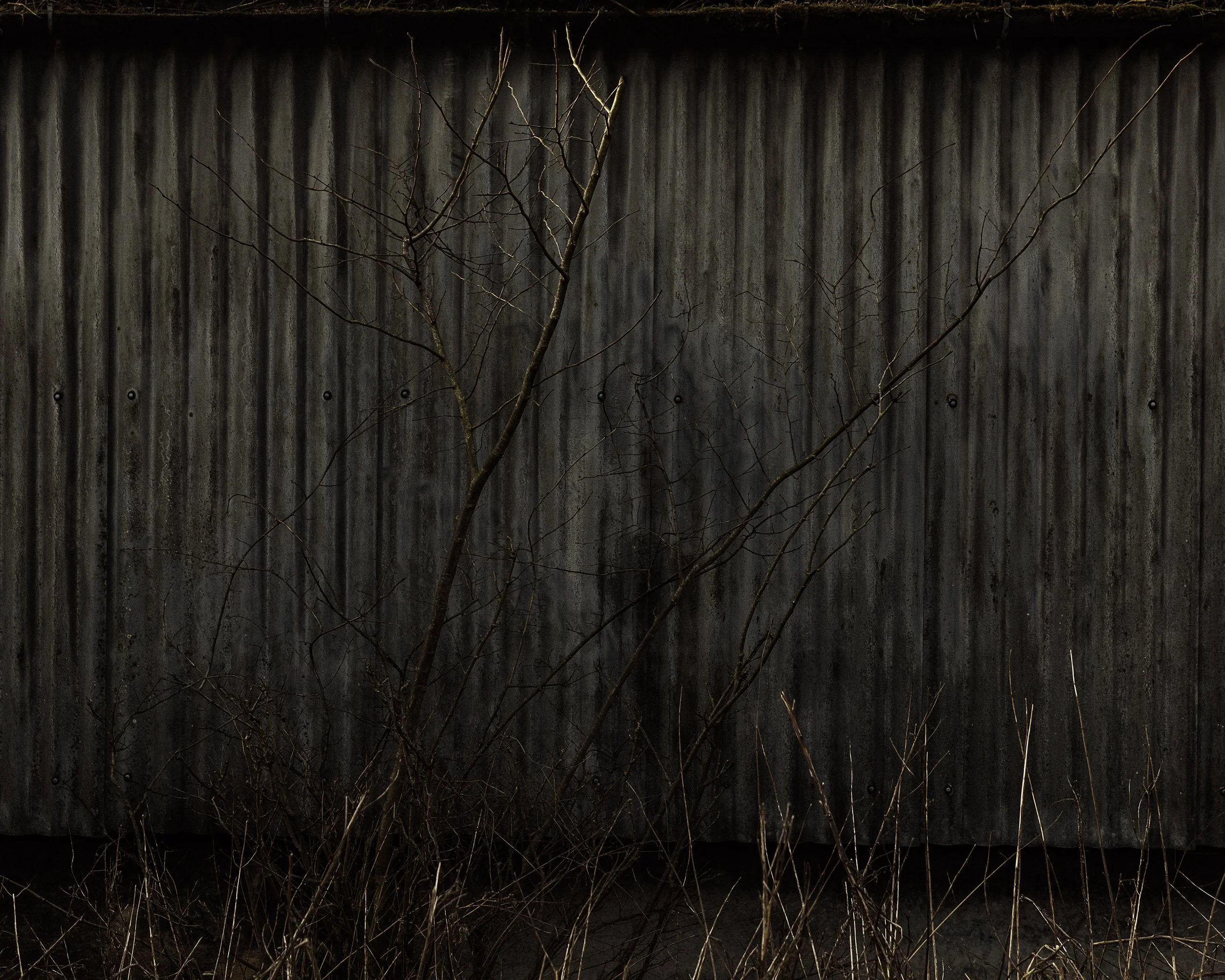 _18A9944-Edit copy.jpg