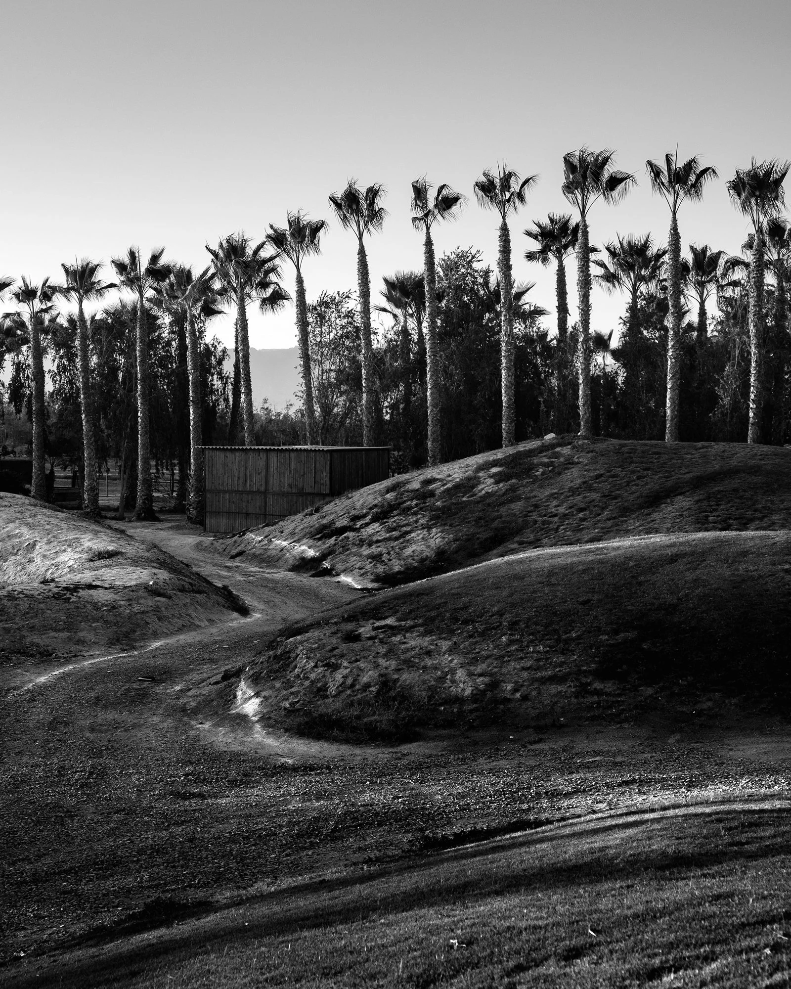 Mirage No.1 | 4x5 Series No.1