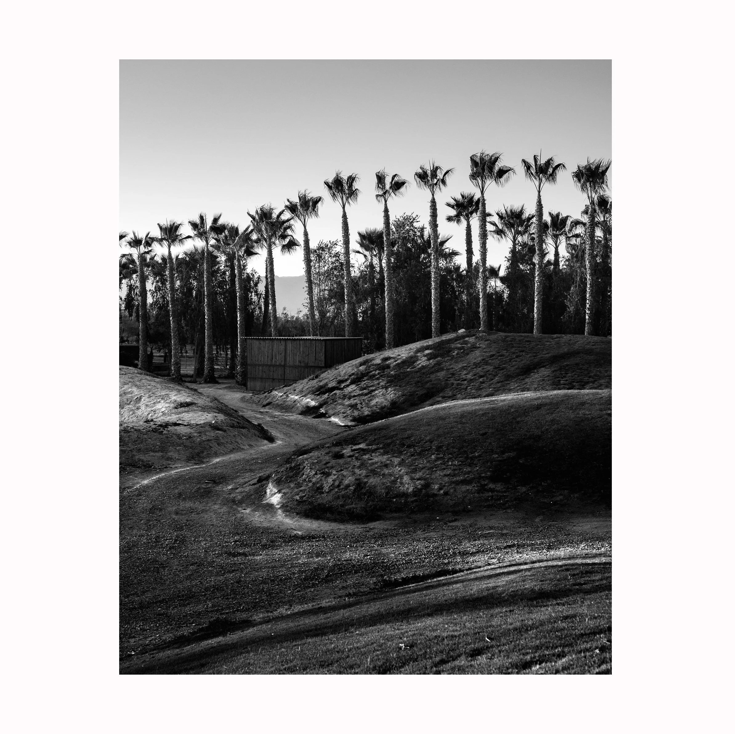 Mirage No.1 | 4x5 Series No.1