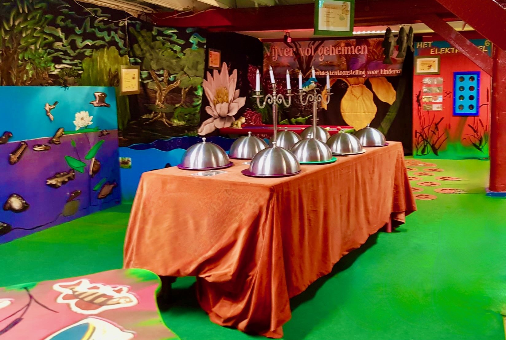 Vijver vol Geheimen (1).jpeg