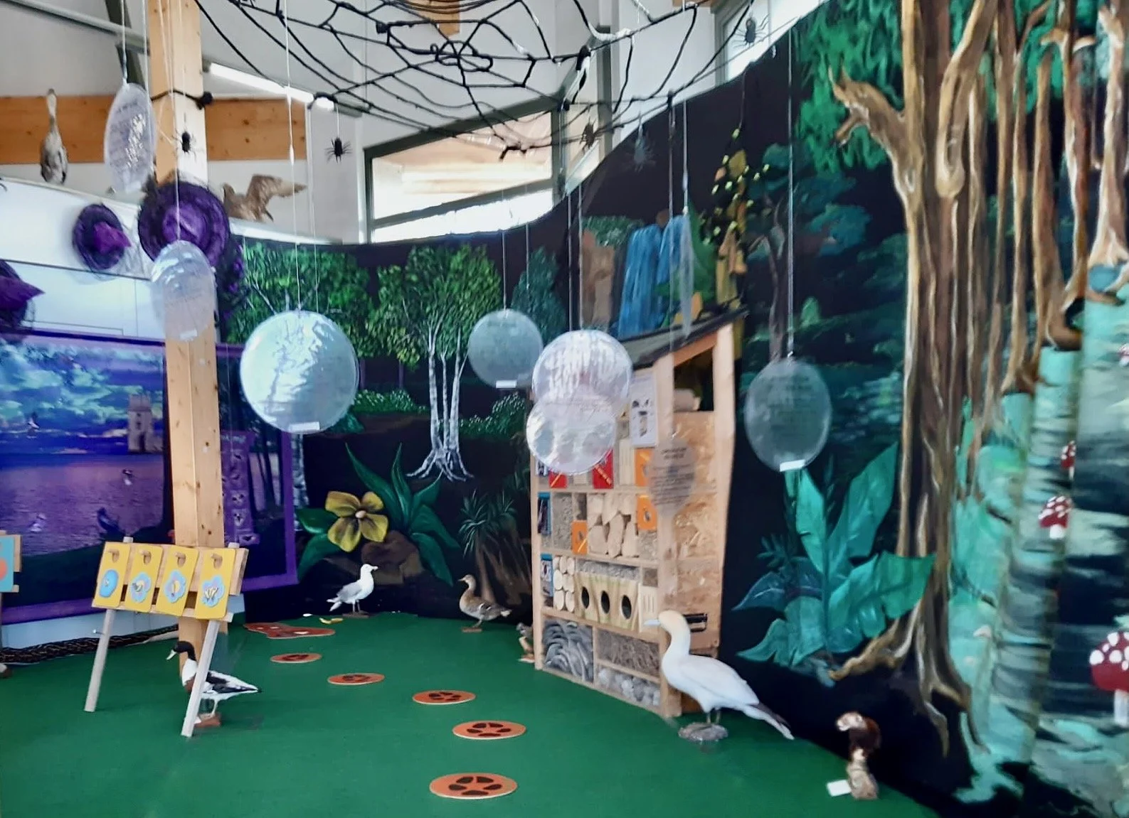 Help, een spin8001301C-EA9F-4E33-8CAA-C7CDA8C76EEC.jpeg