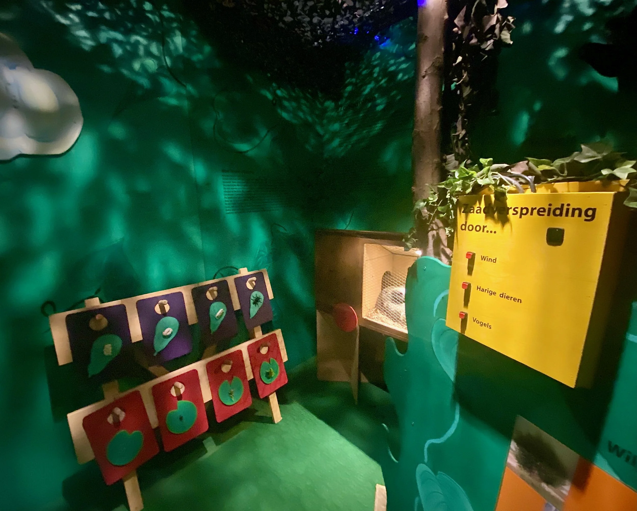 Rode OortjesIMG_1301.jpeg