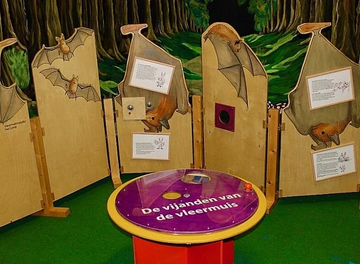 Bat de Vleermuis (1).jpeg