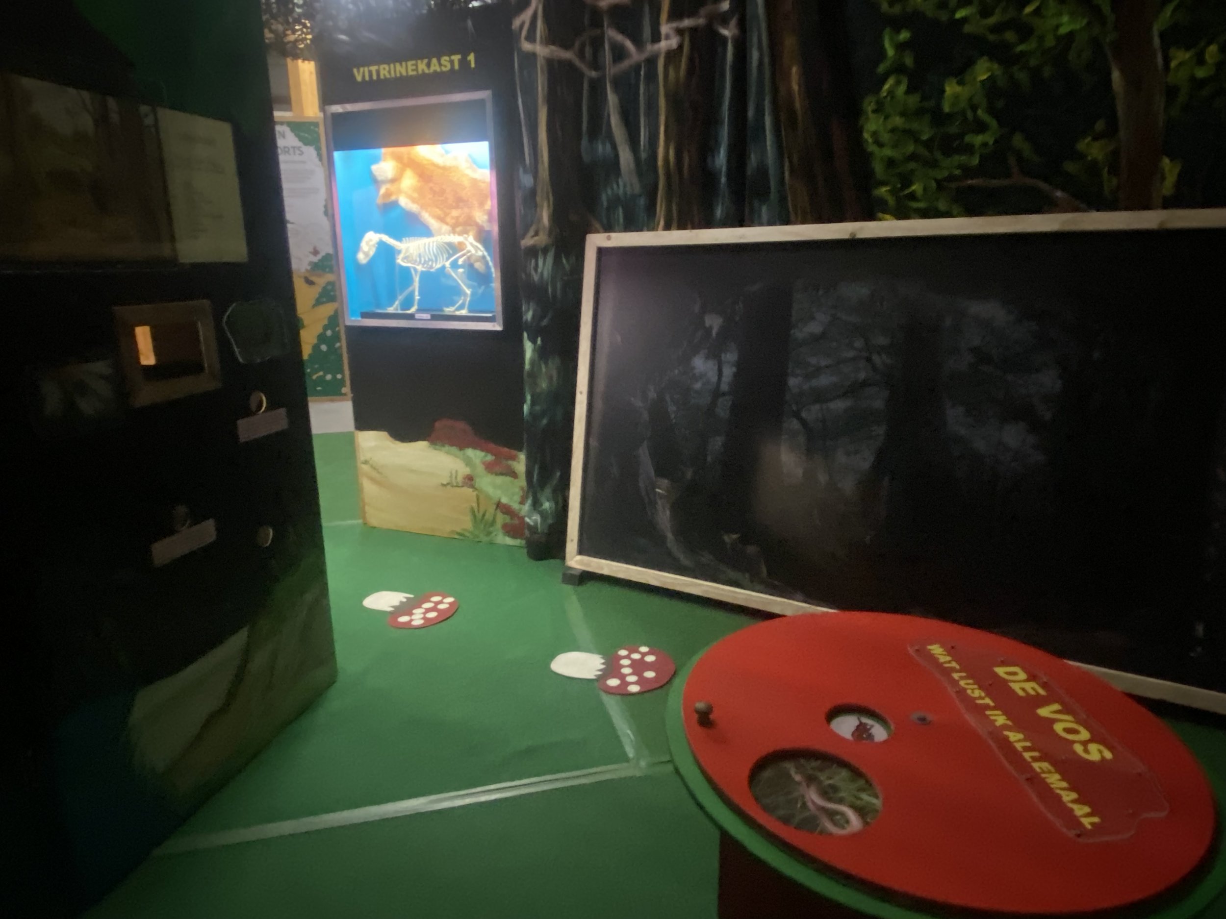 IMG_0205.jpeg