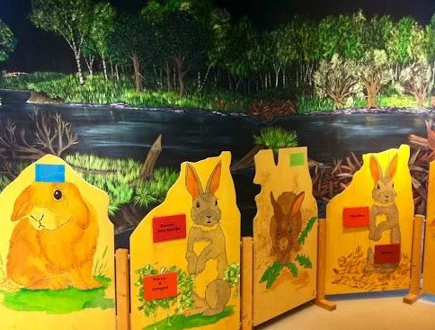 Konijntje Pluis (1).jpeg