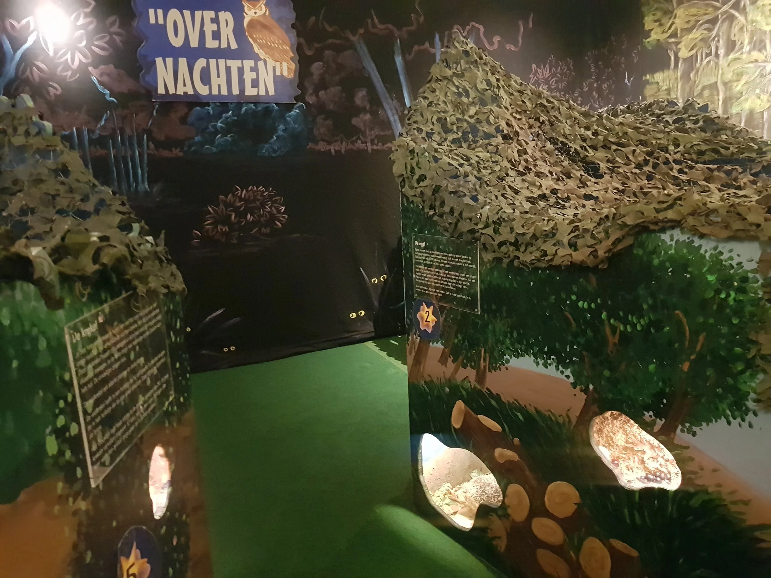 Over Nachten 13, overzichtsfoto.jpeg