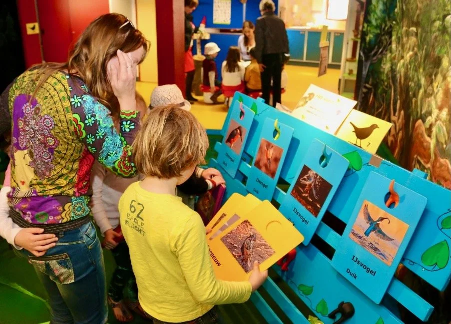 ZangvogelsFlierefluiters (2).jpeg