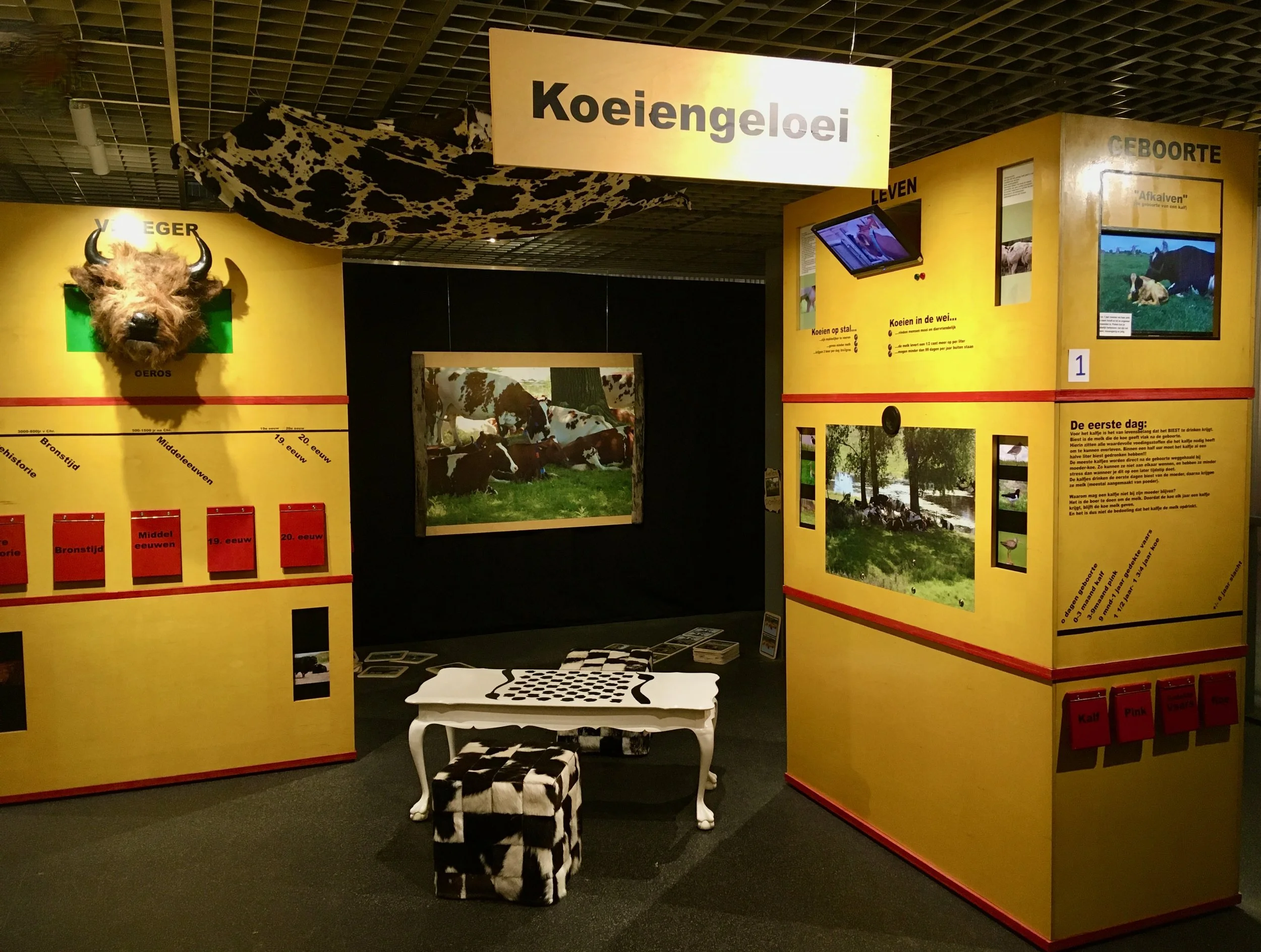 Koeiengeloei (9).jpeg