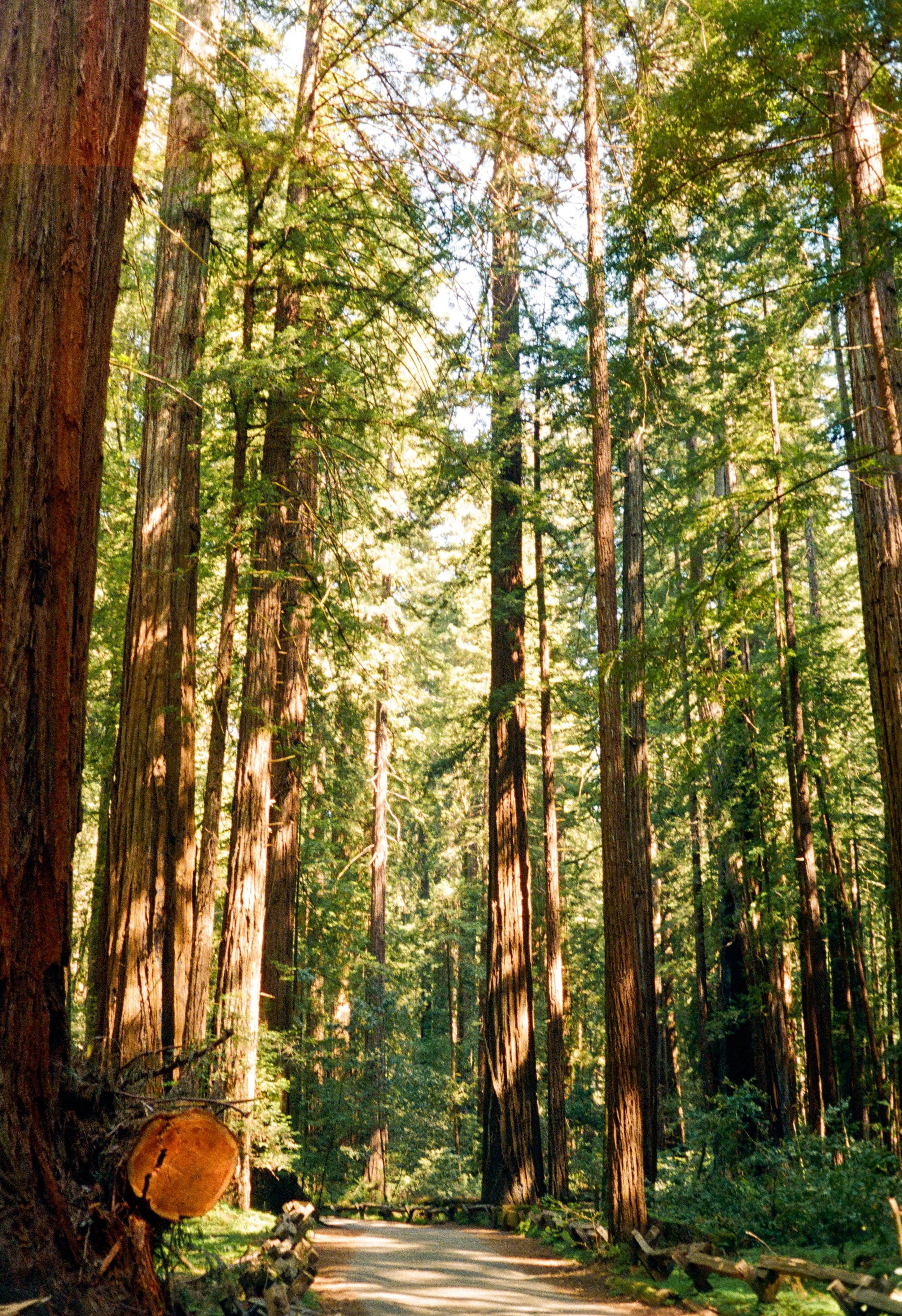 ben matuszak-467.jpg