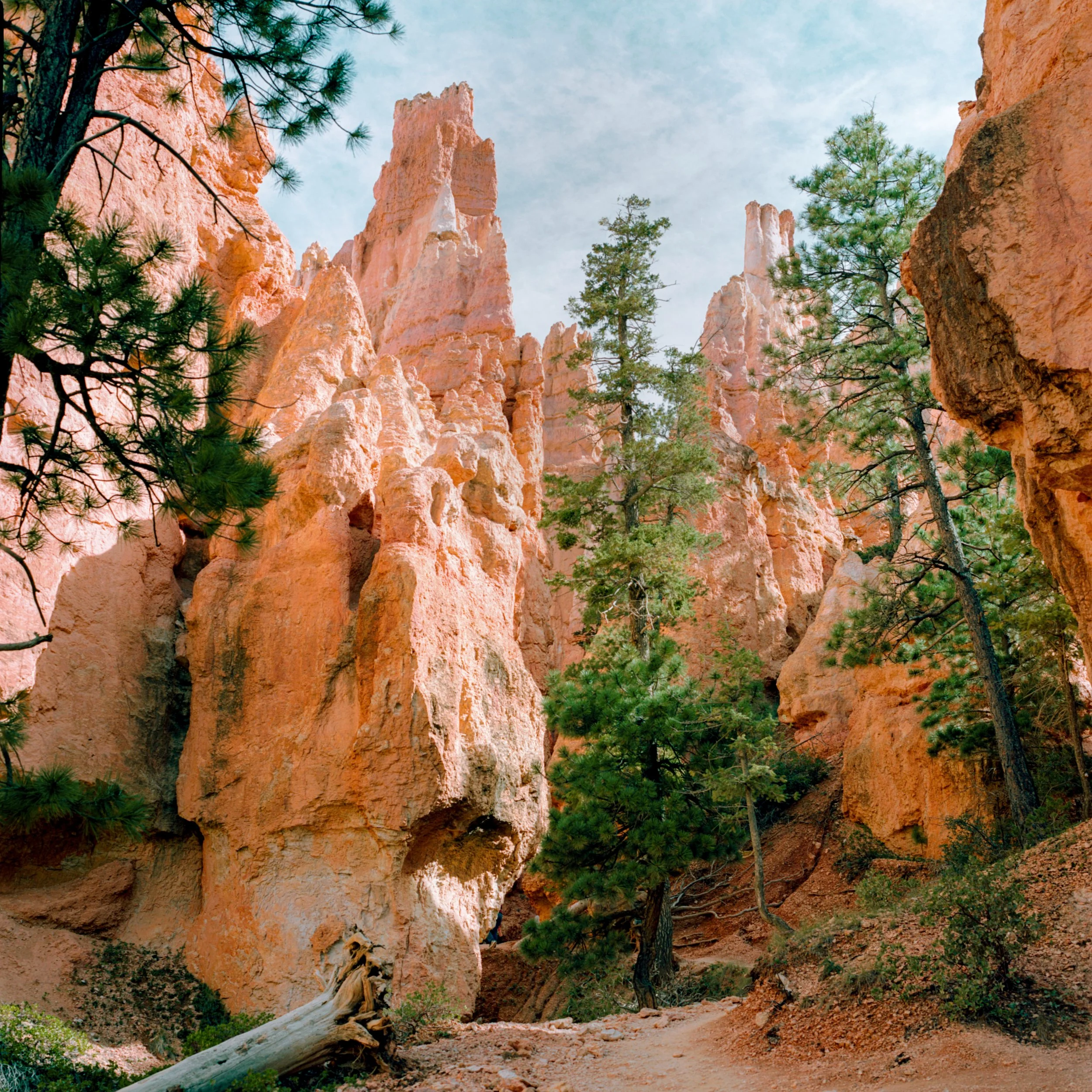 Portra 160
