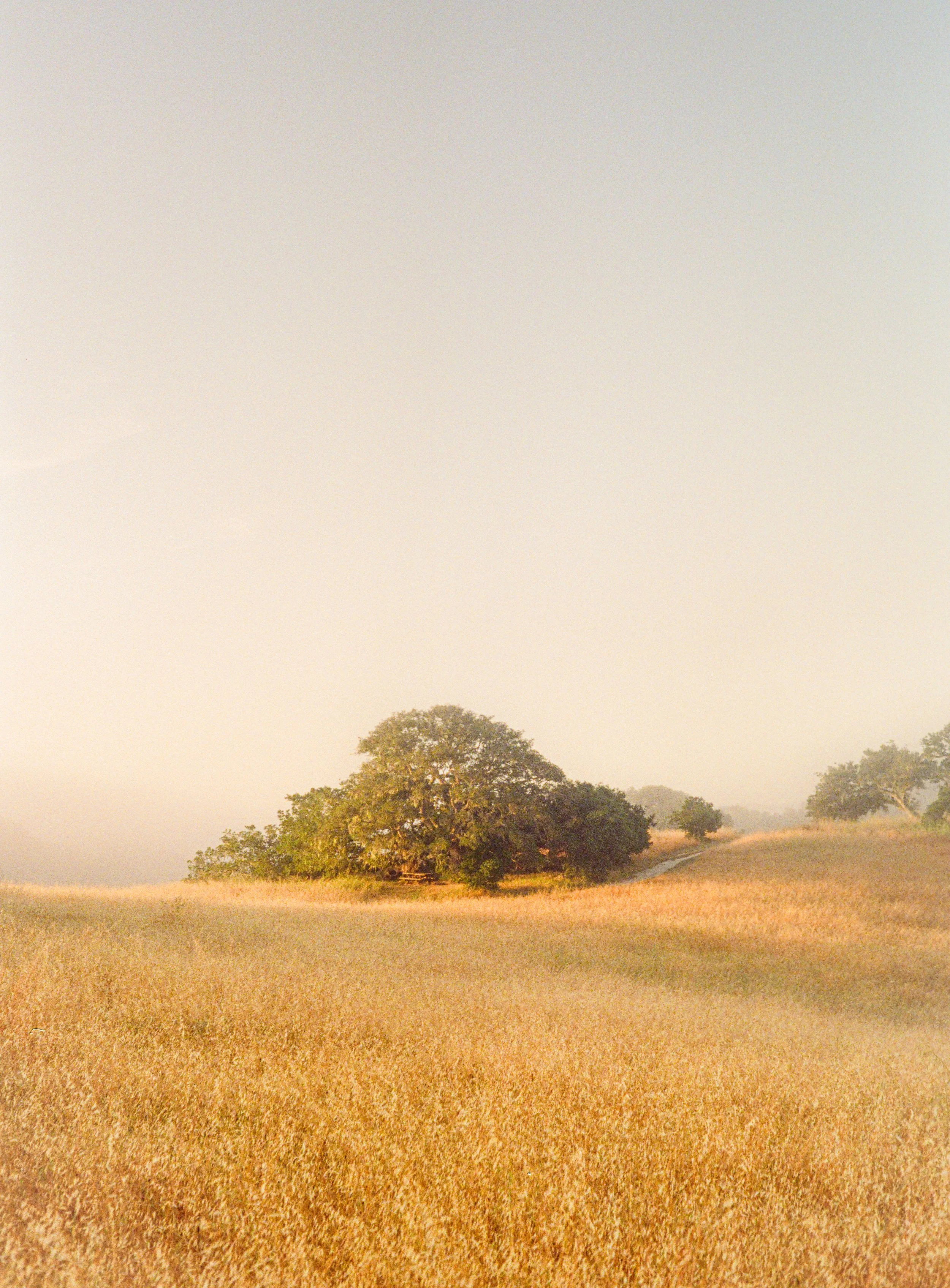 ben matuszak-473.jpg