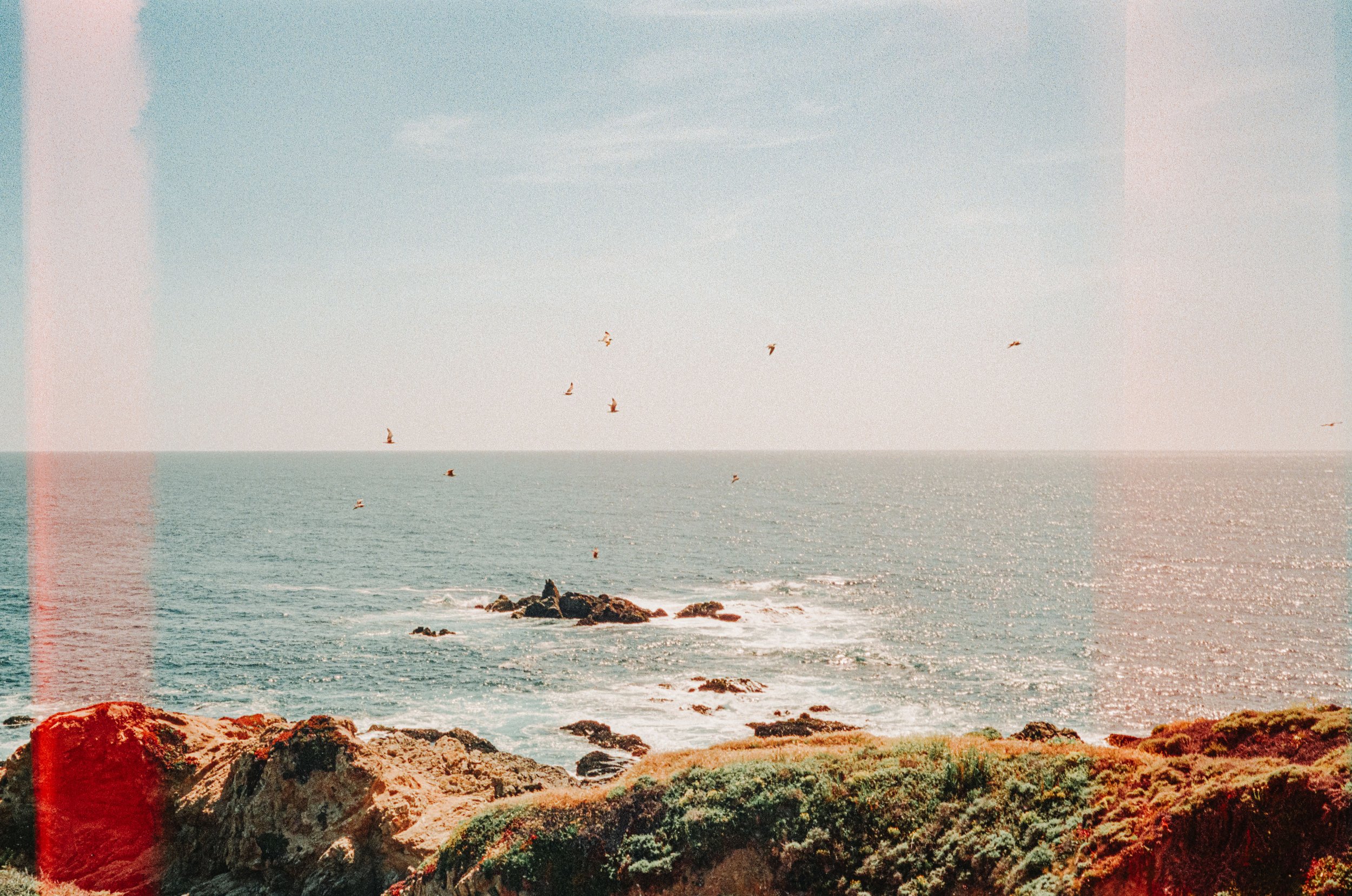 ben matuszak-466.jpg