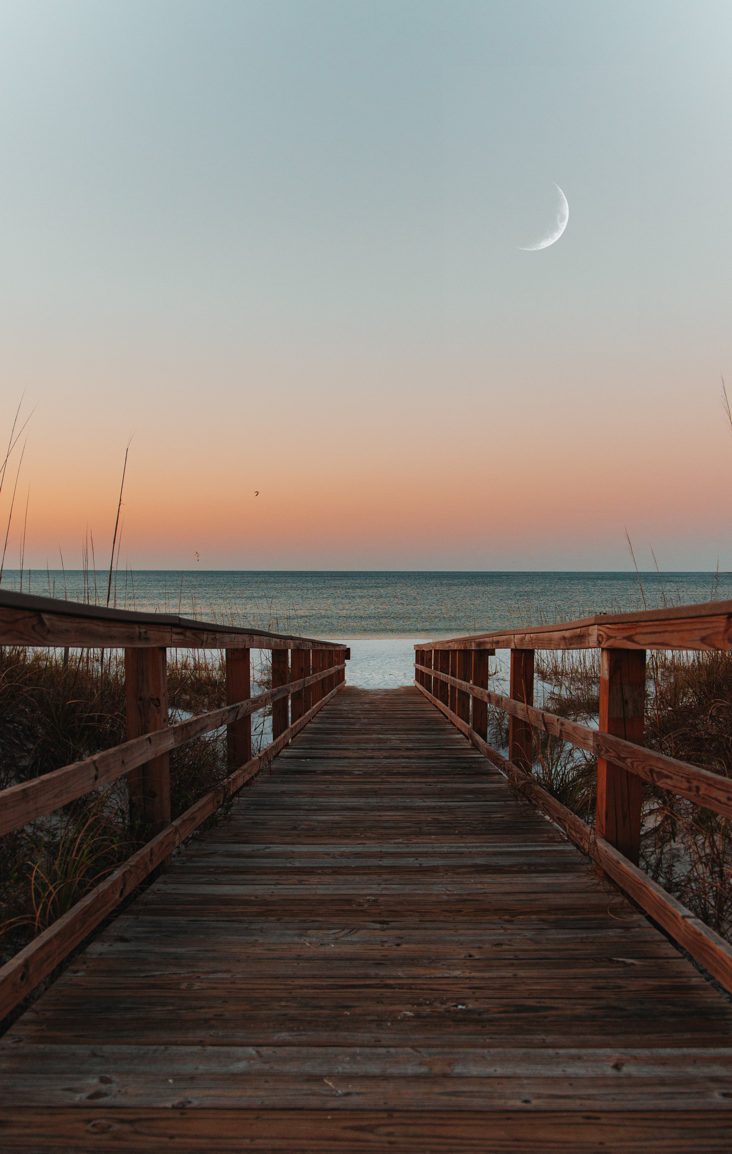 MA2A8569-Edit-Edit.jpg