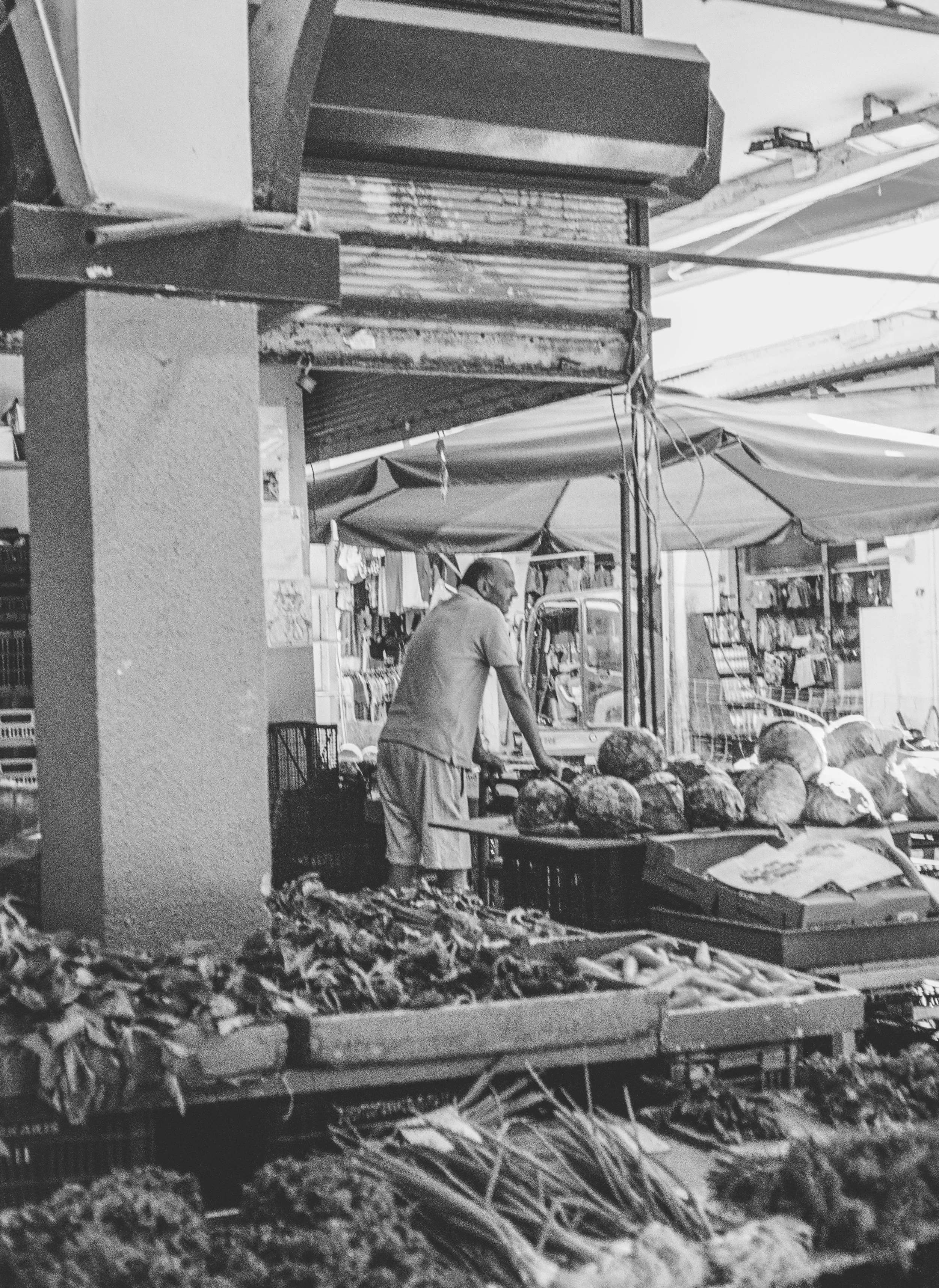 ben matuszak-490.jpg