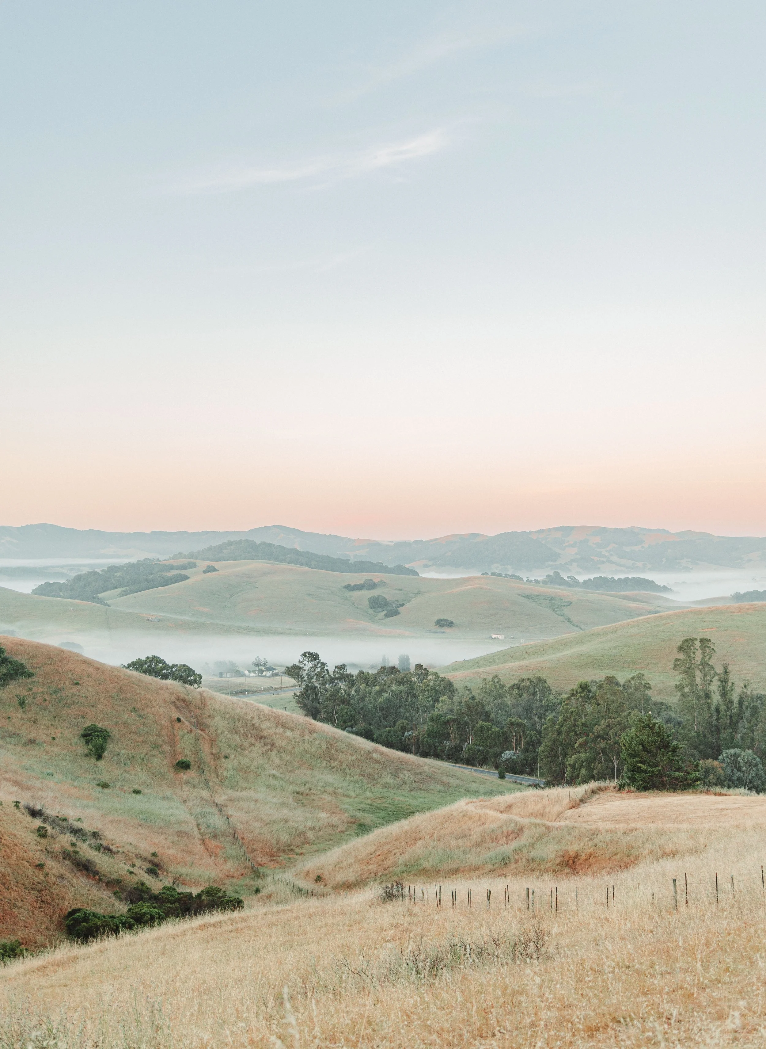 ben matuszak-456.jpg