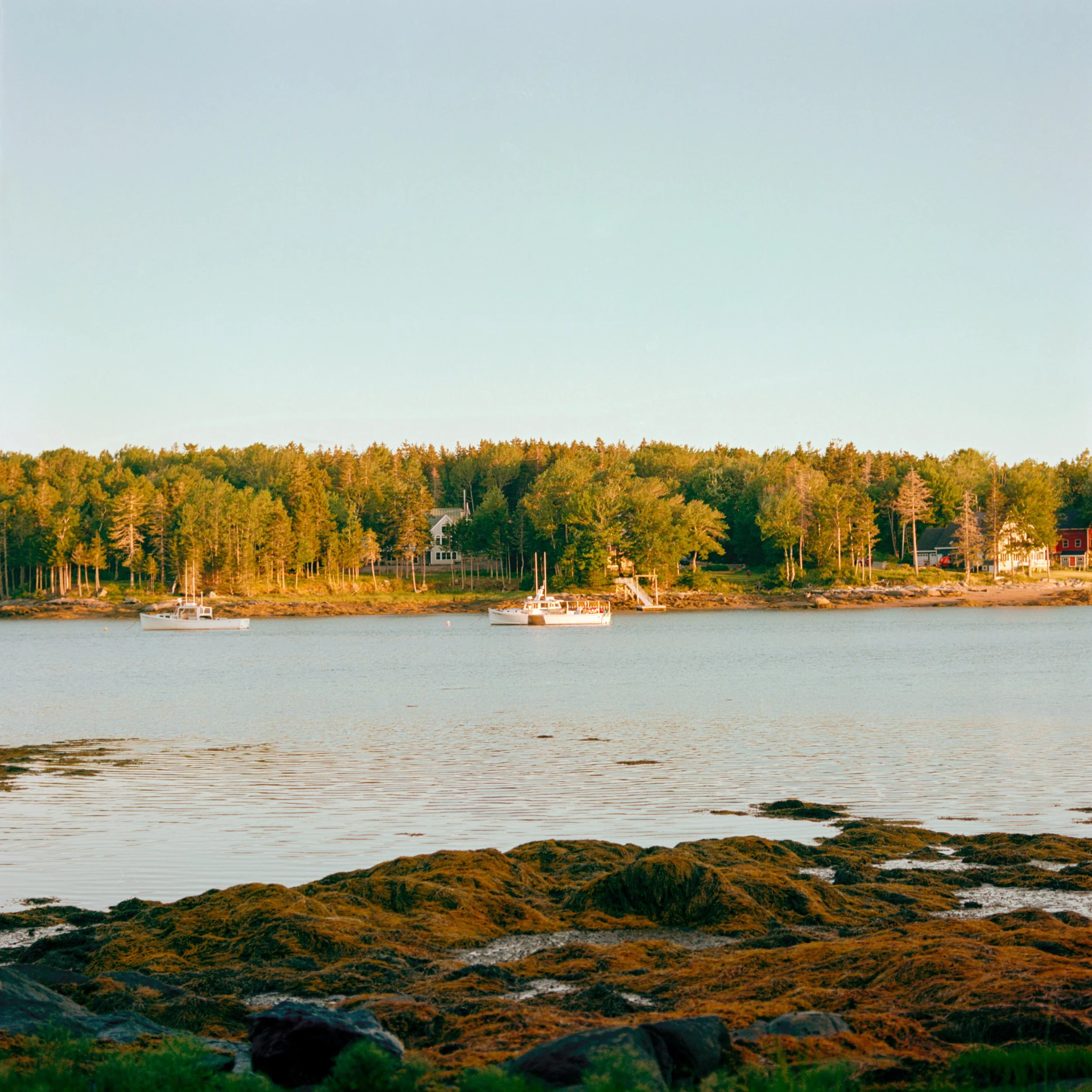 Portra 160 ~ 44.00421° N, 69.13766° W