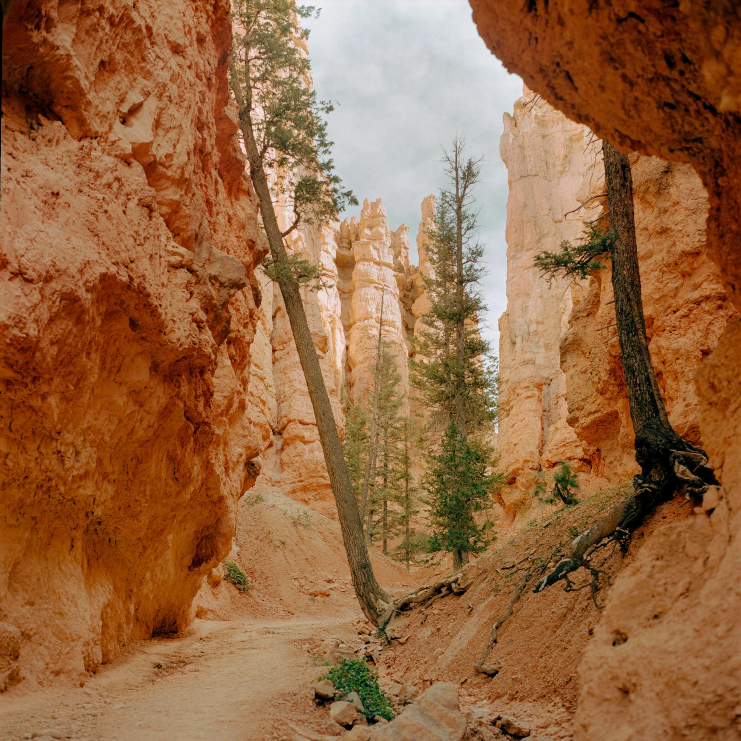 Portra 160