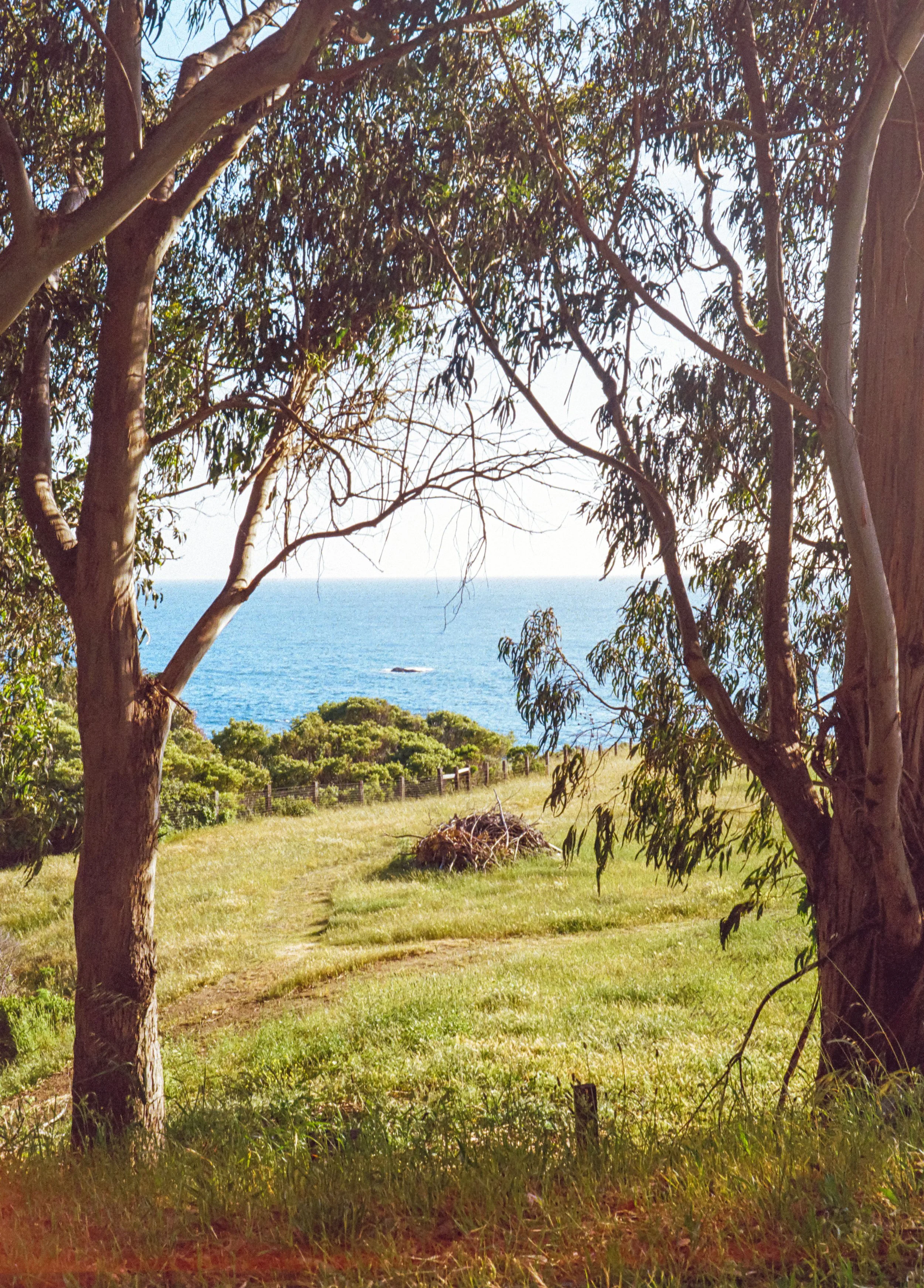 ben matuszak-464.jpg