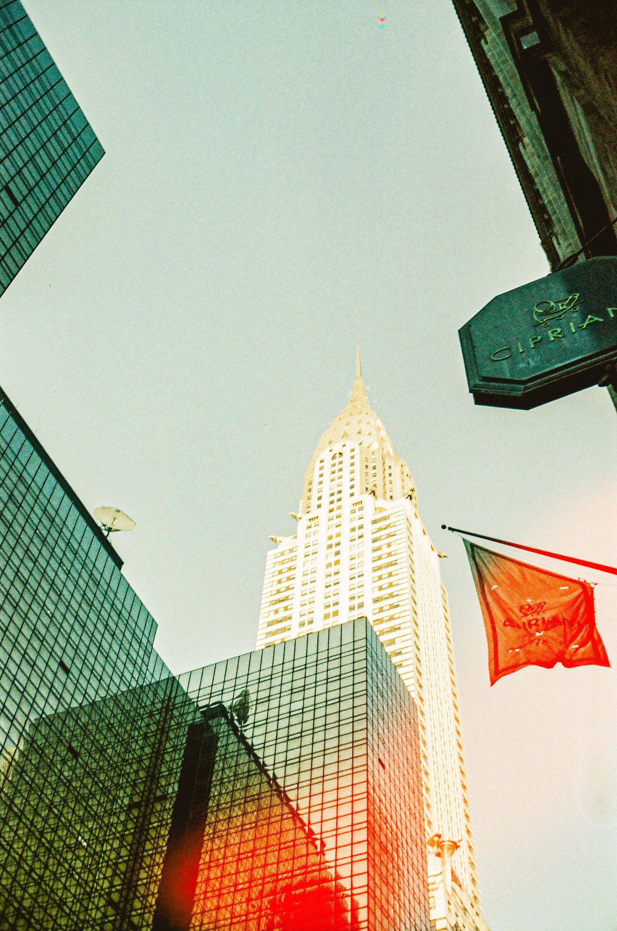 ben matuszak-532.jpg