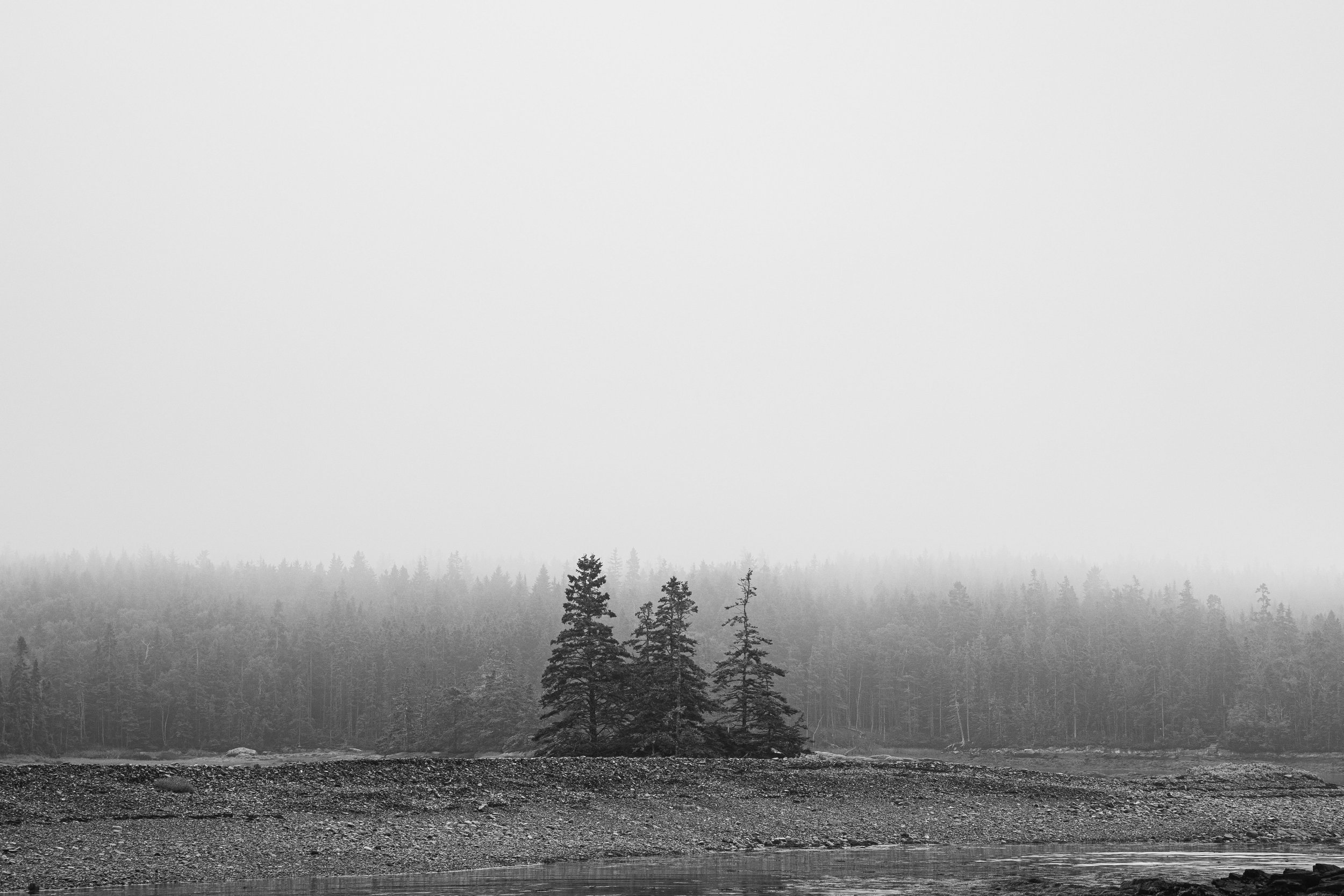 ben matuszak-539.jpg