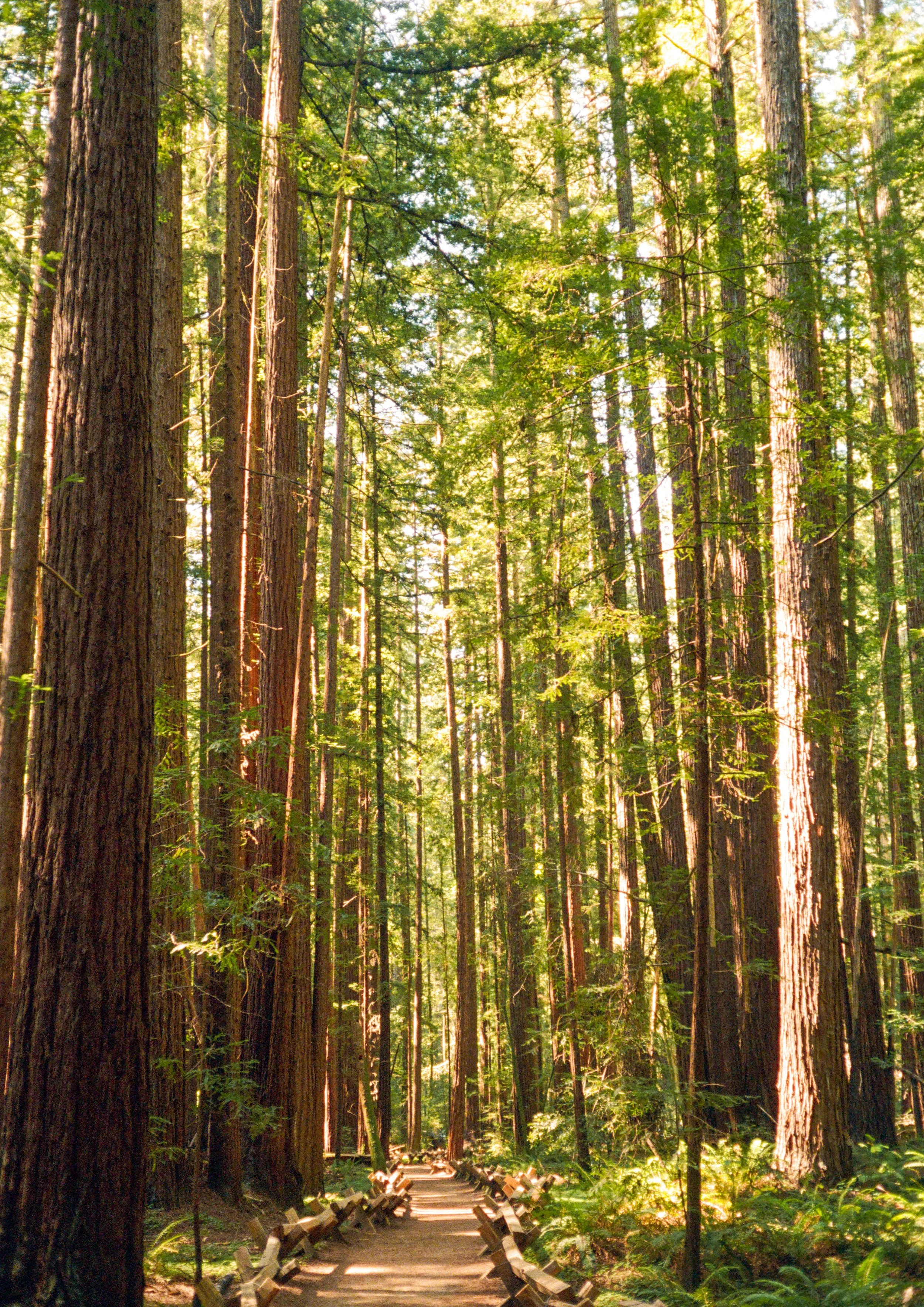 ben matuszak-469.jpg