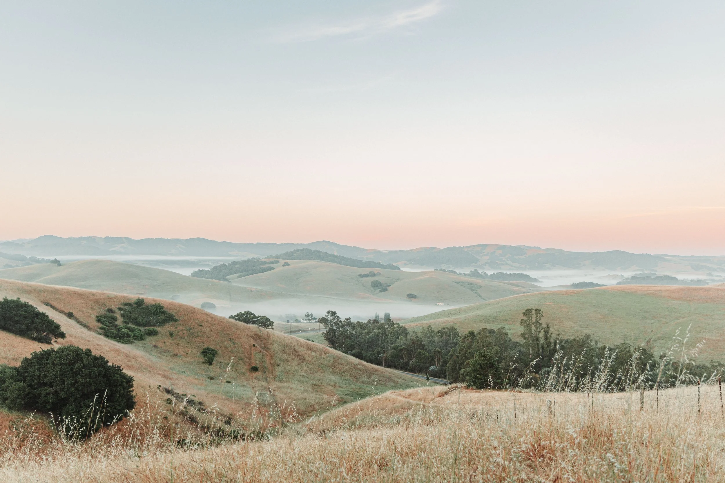 ben matuszak-457.jpg