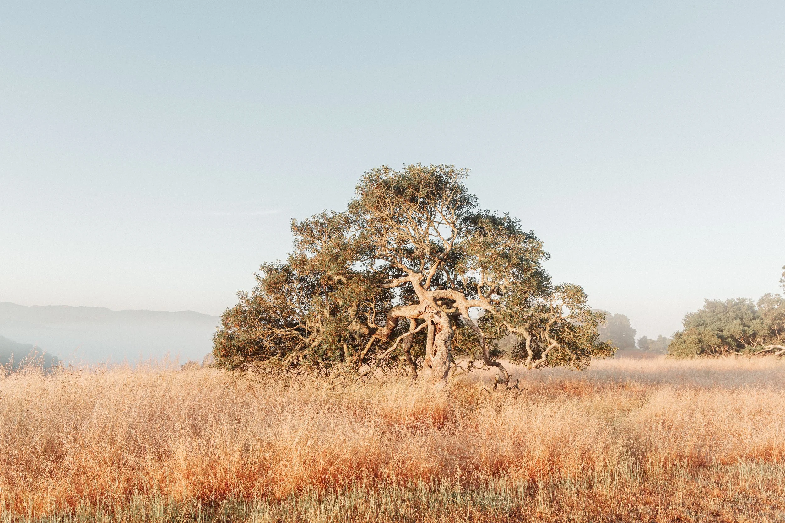 ben matuszak-455.jpg