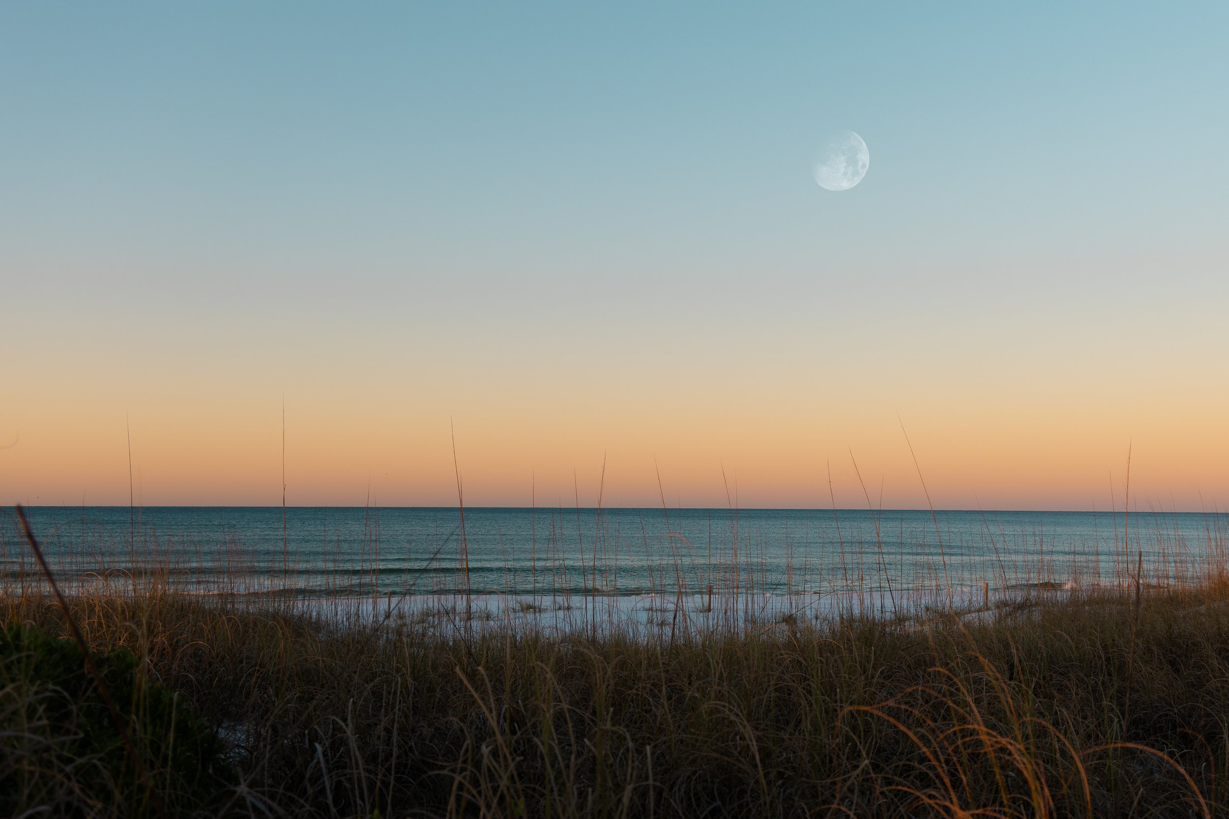 MA2A9322-Edit-2.jpg