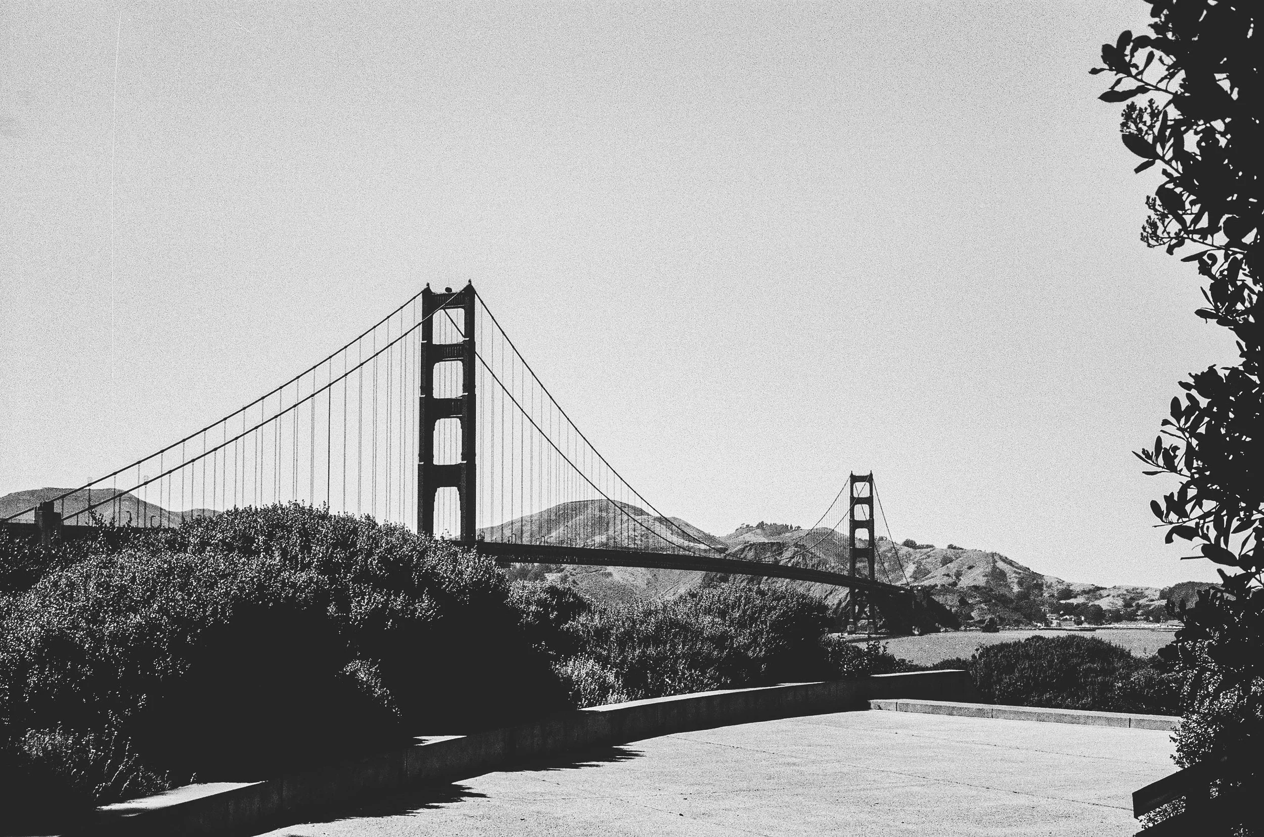 ben matuszak-476.jpg