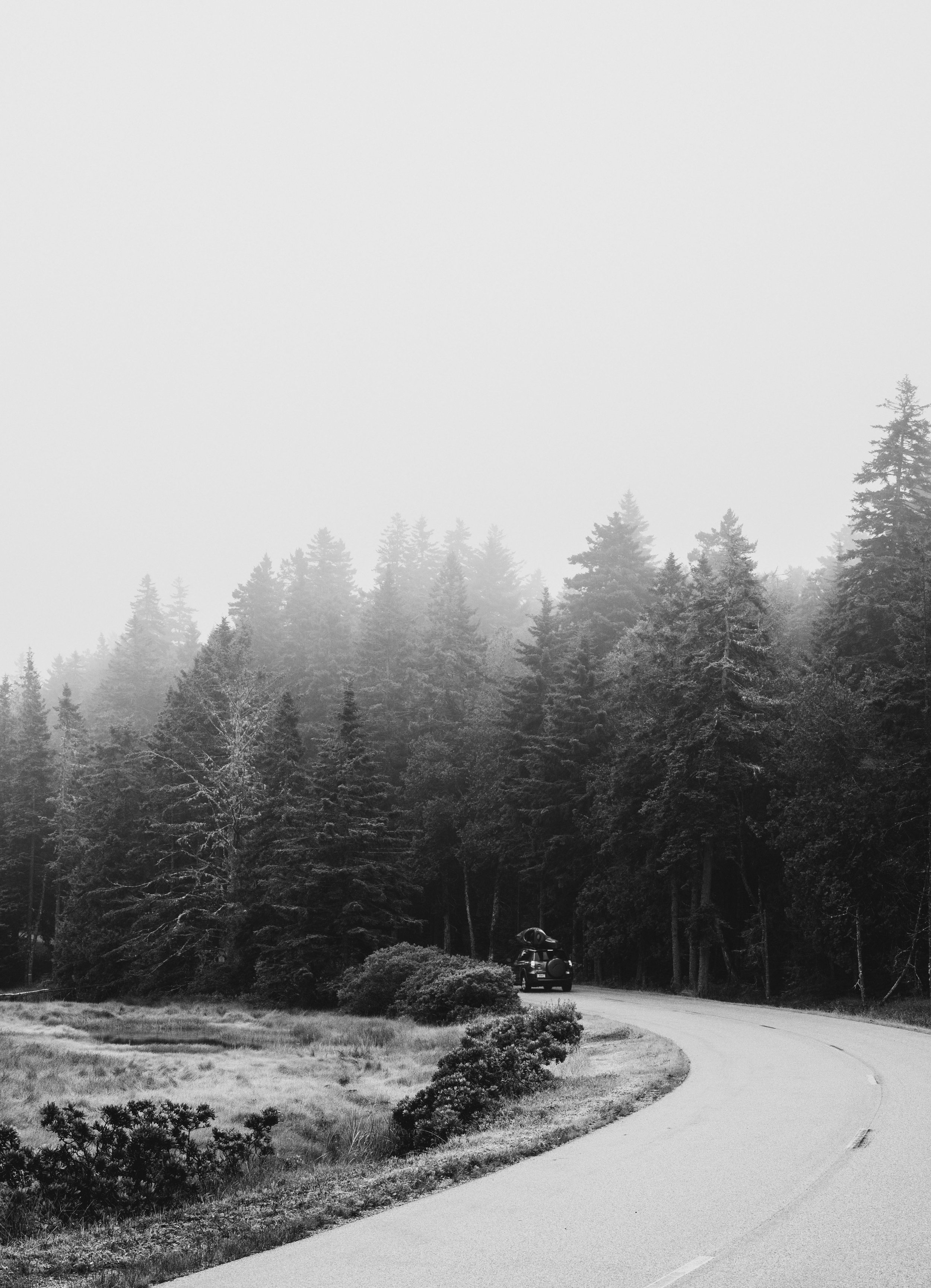 ben matuszak-546.jpg