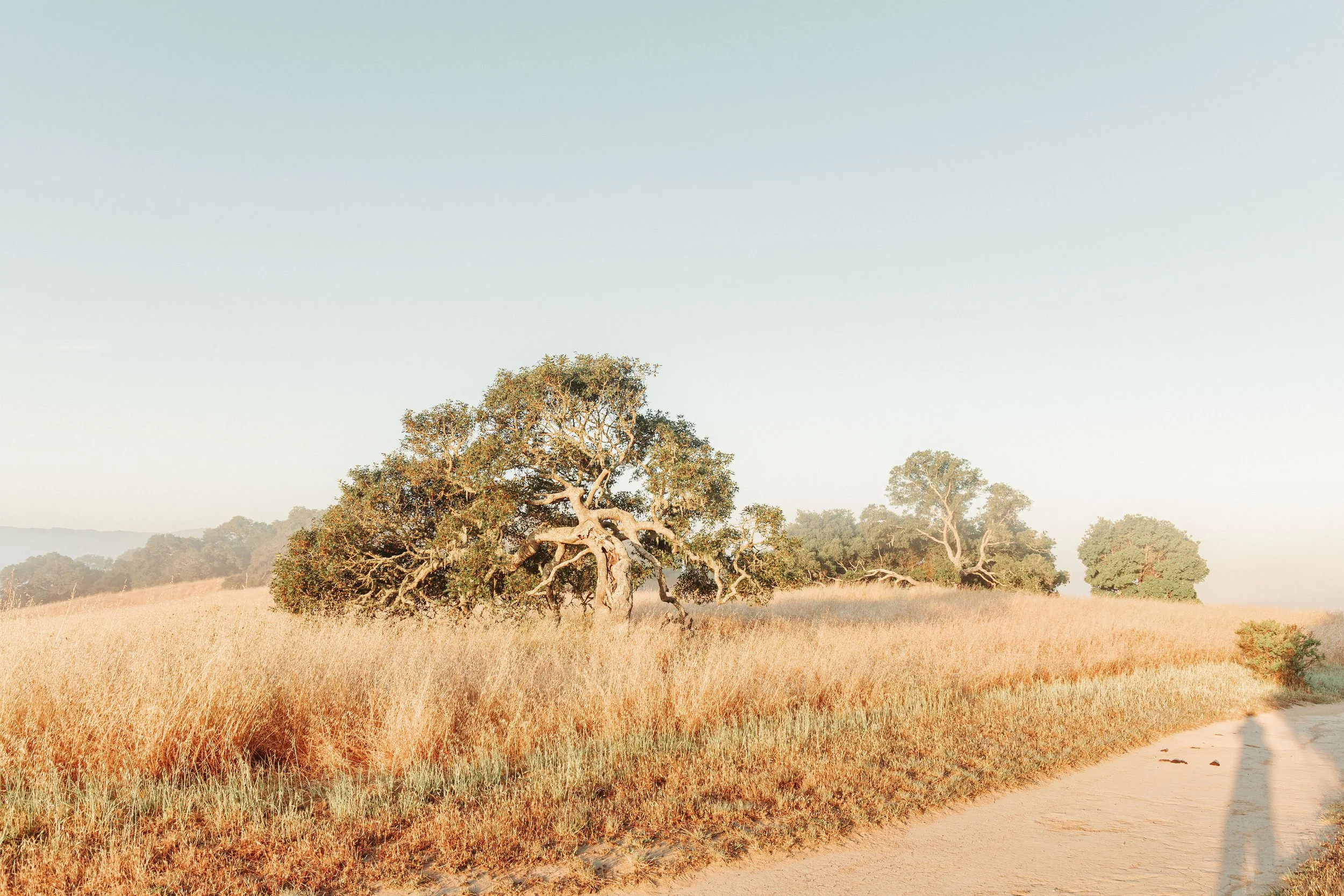 ben matuszak-478.jpg