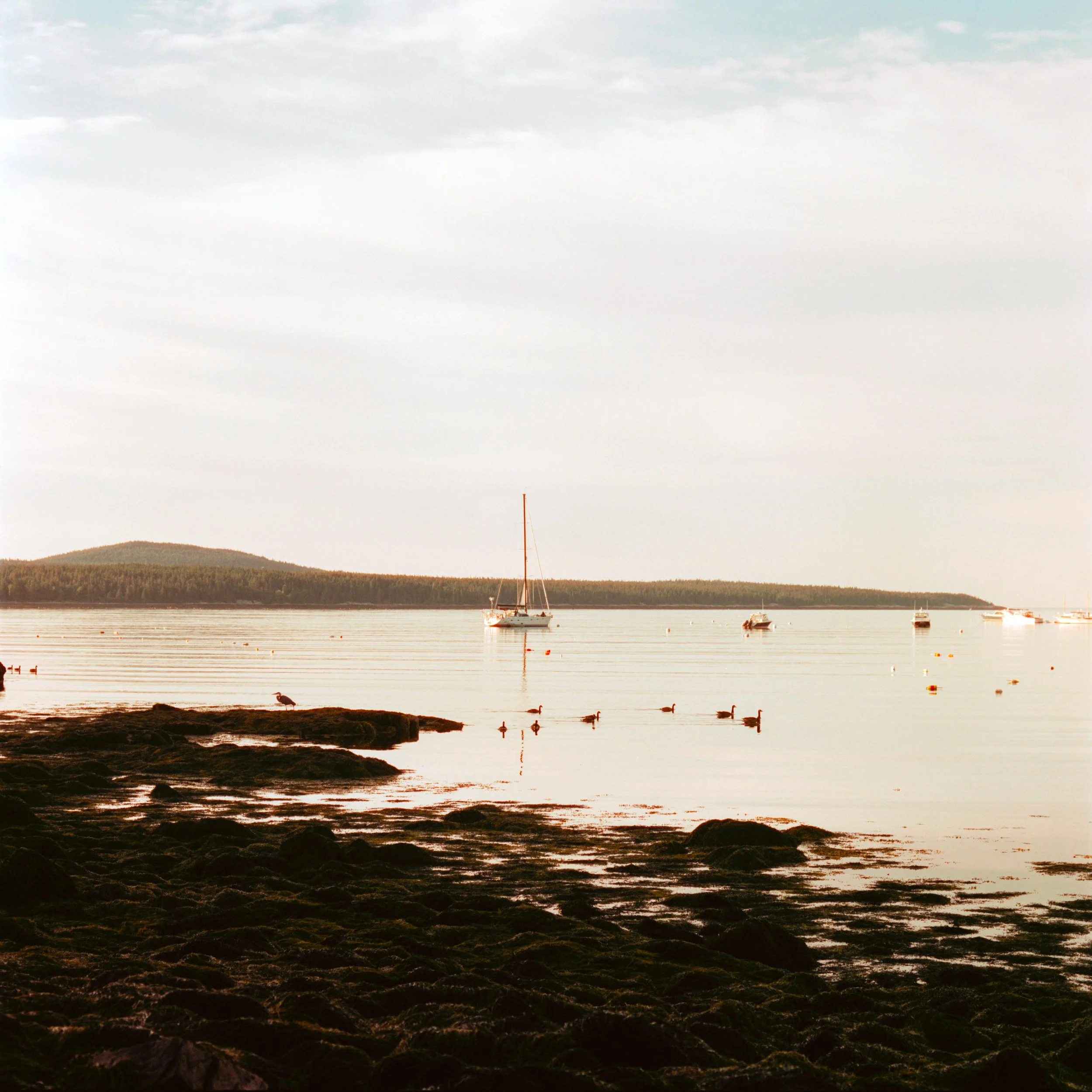 Cinestill 400D ~44.38950° N, 68.09205° W